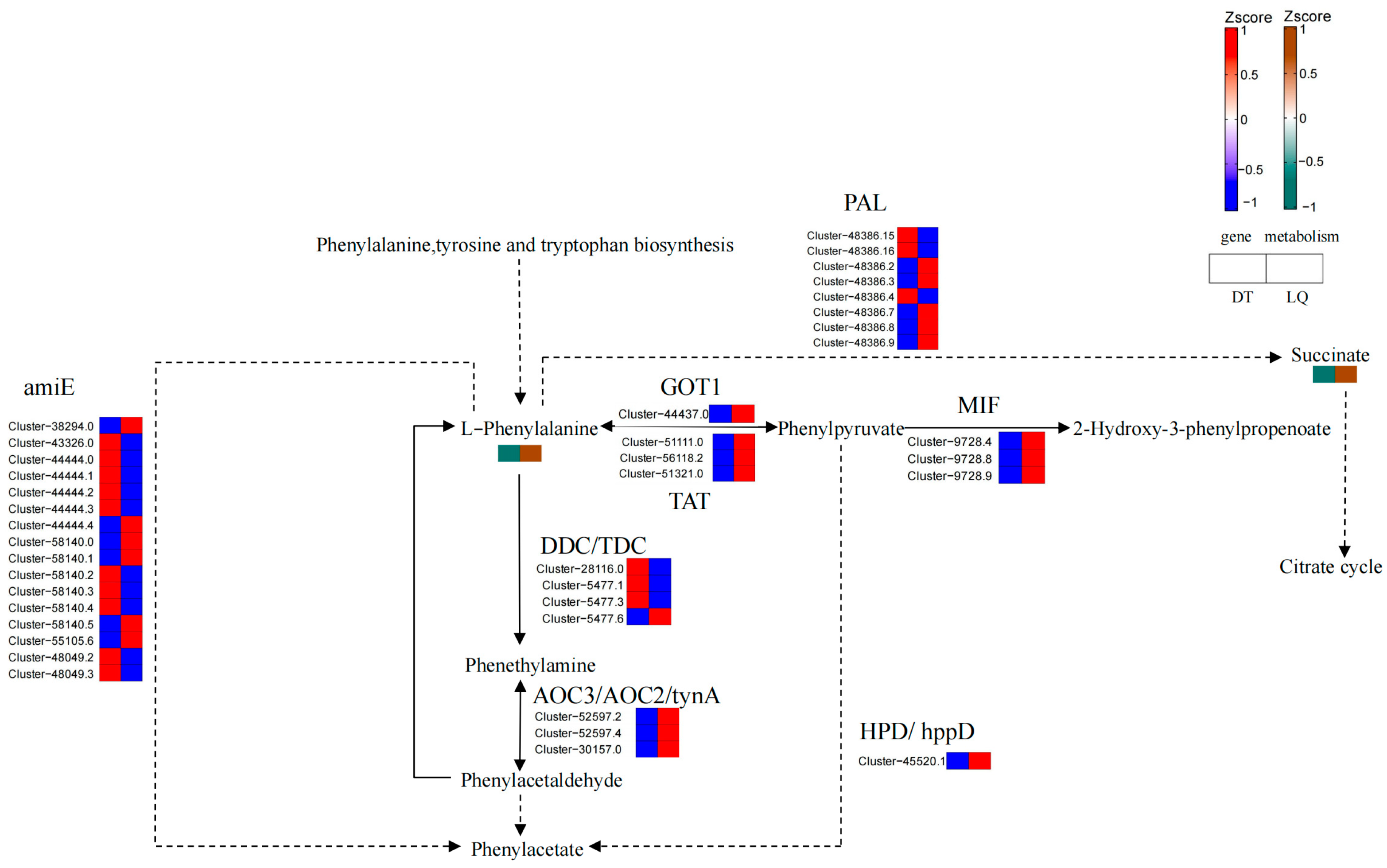 Applsci 15 02575 g014 Applsci 15 02575 g014