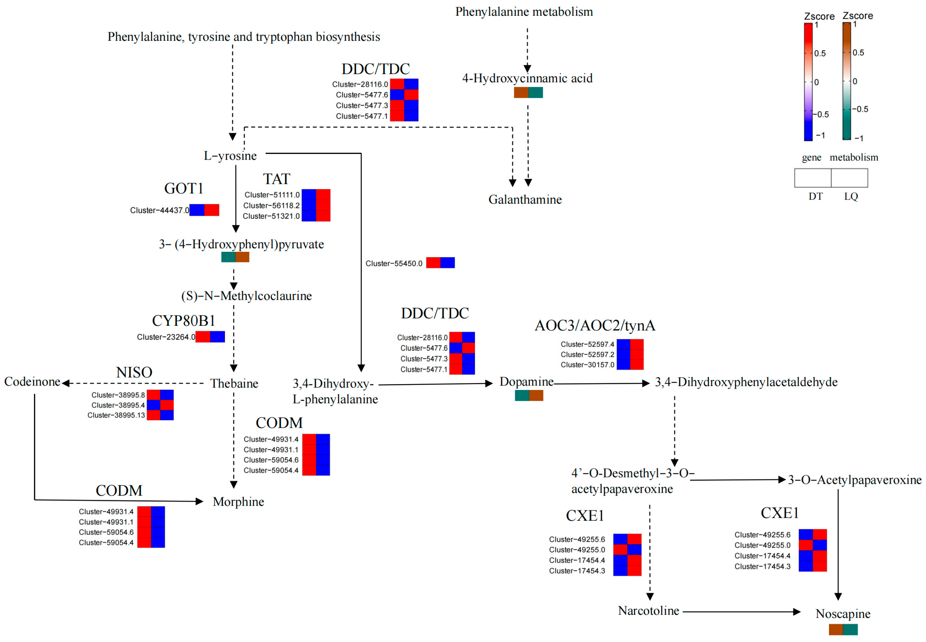 Applsci 15 02575 g015 Applsci 15 02575 g015