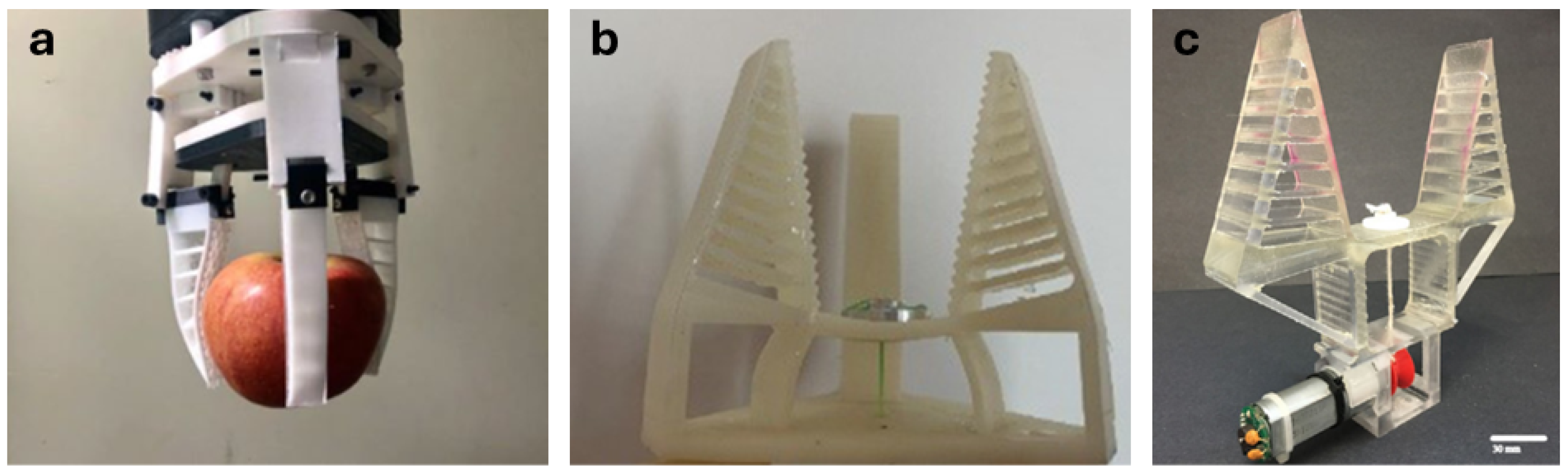 Applsci 15 02576 g001