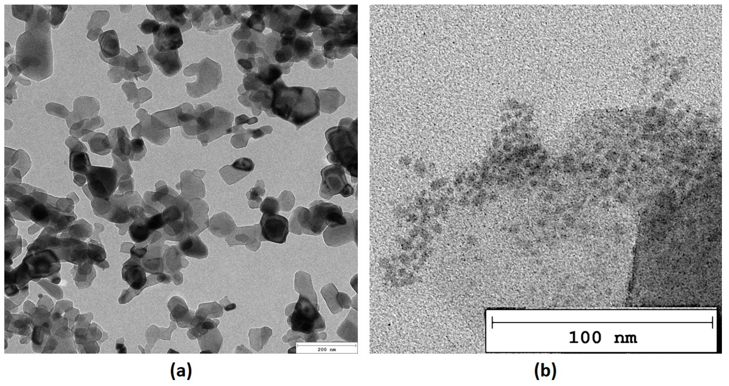 Applsci 15 02578 g007