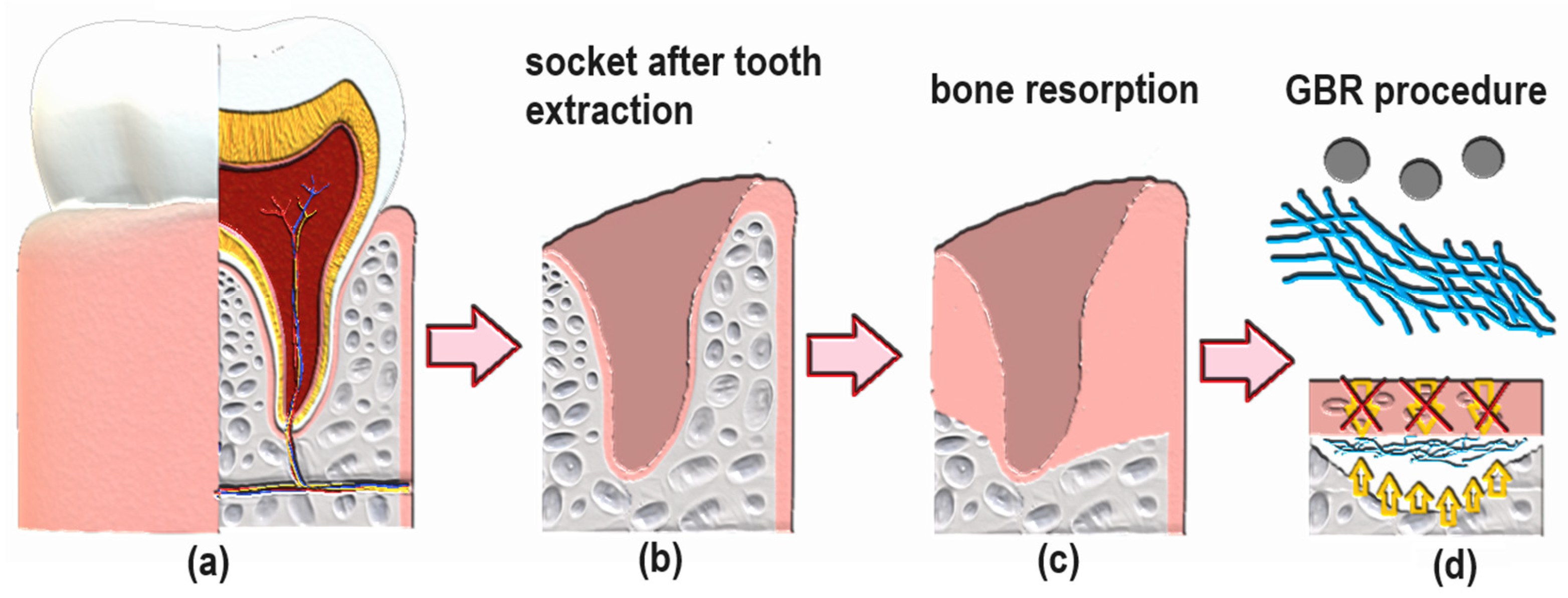 Applsci 15 02578 g010