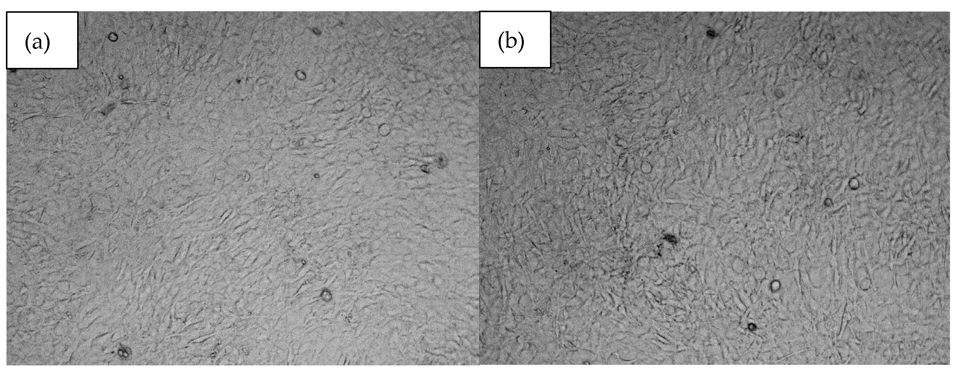 Applsci 15 02578 g014