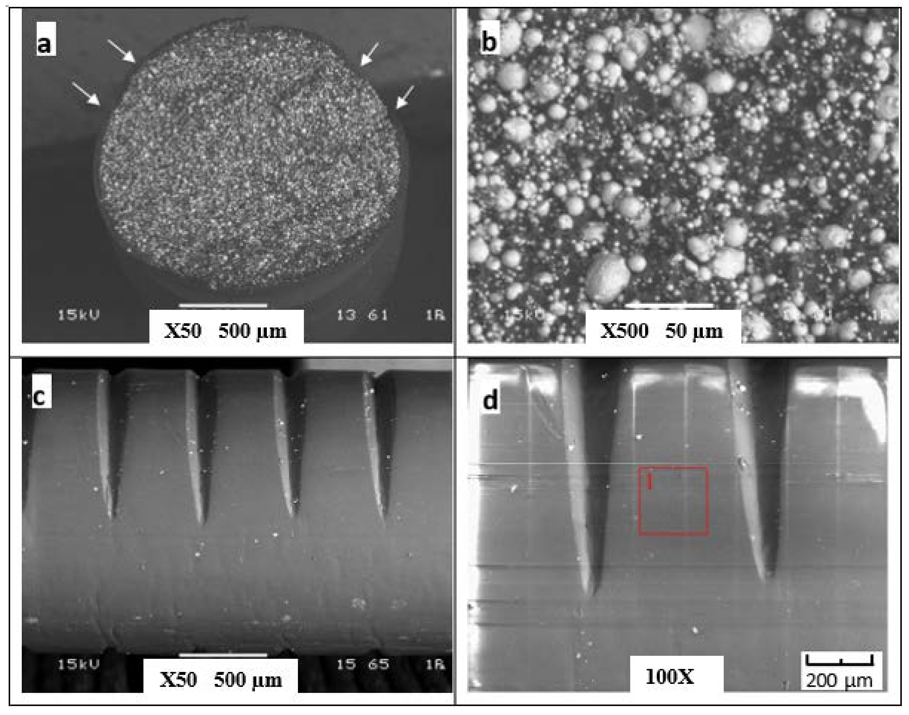 Applsci 15 02584 g004