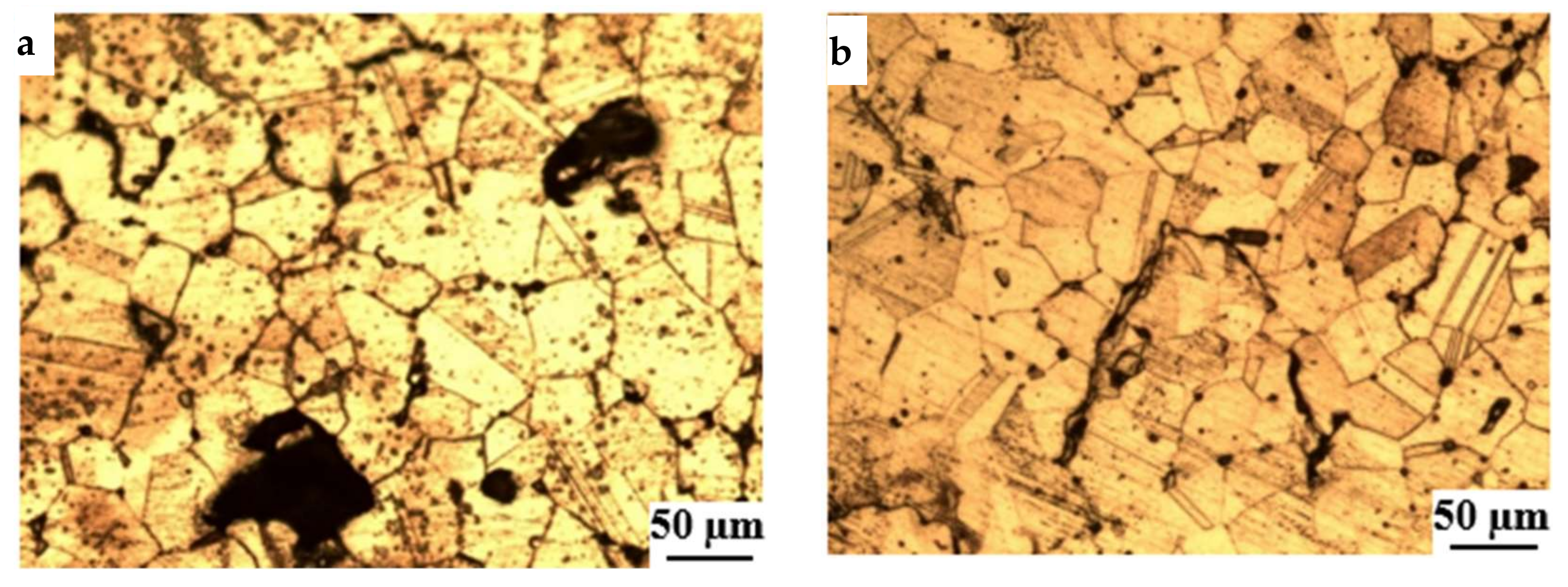 Applsci 15 02584 g007a