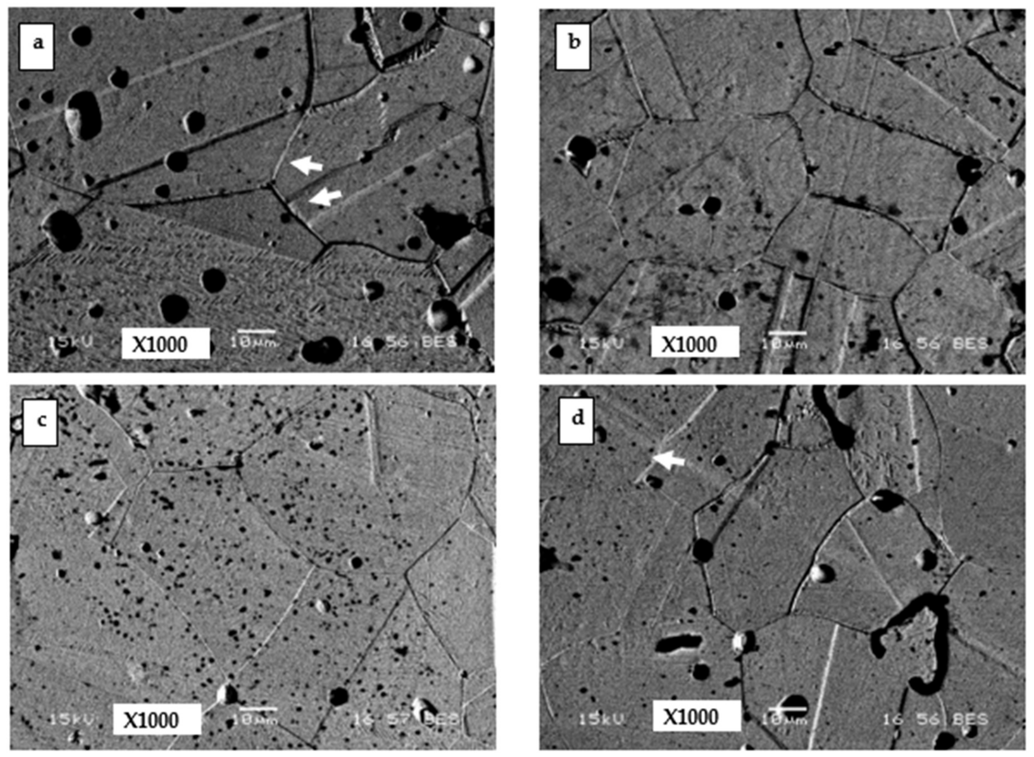 Applsci 15 02584 g013