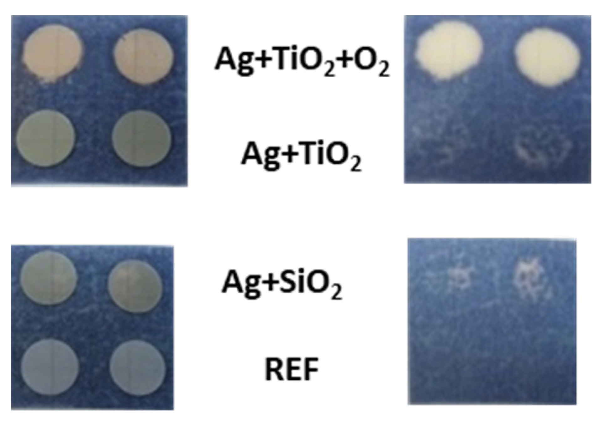 Applsci 15 02599 g006