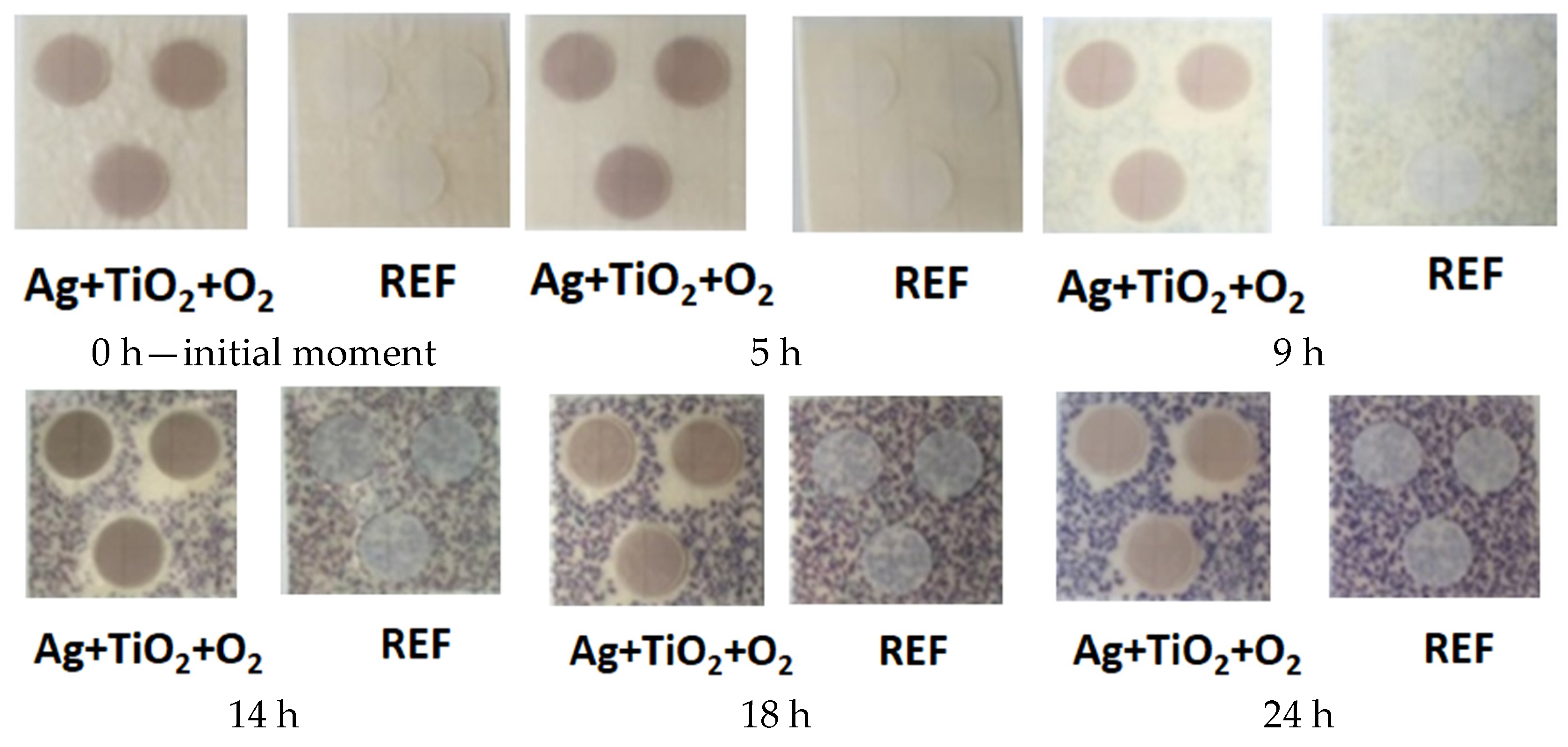 Applsci 15 02599 g007