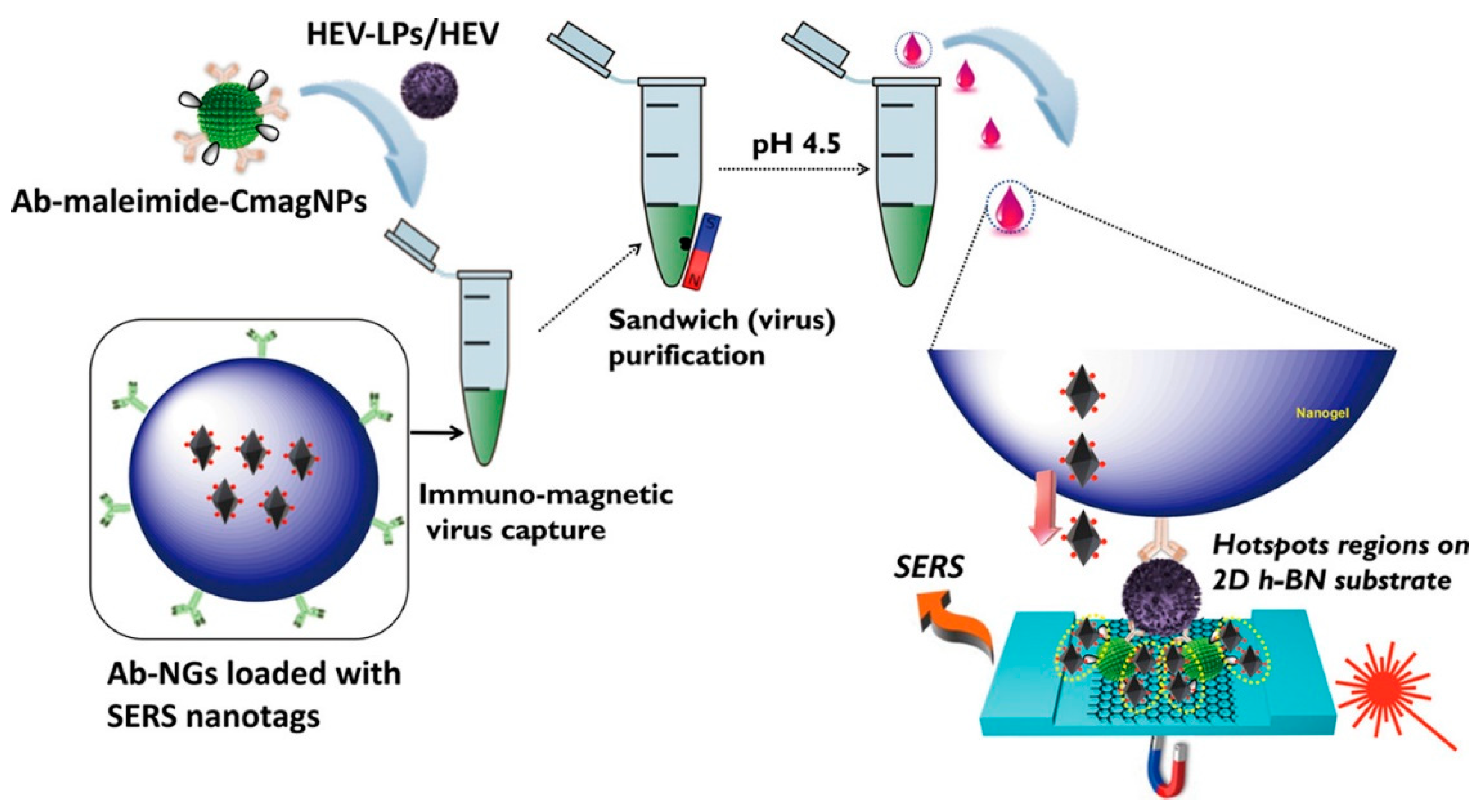 Applsci 15 02606 g004
