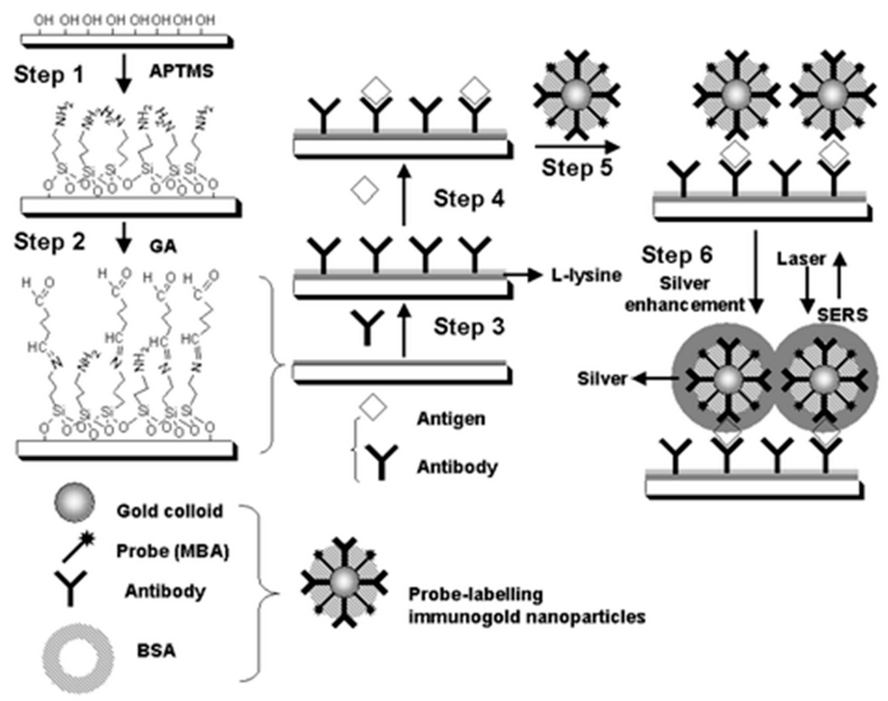 Applsci 15 02606 g005