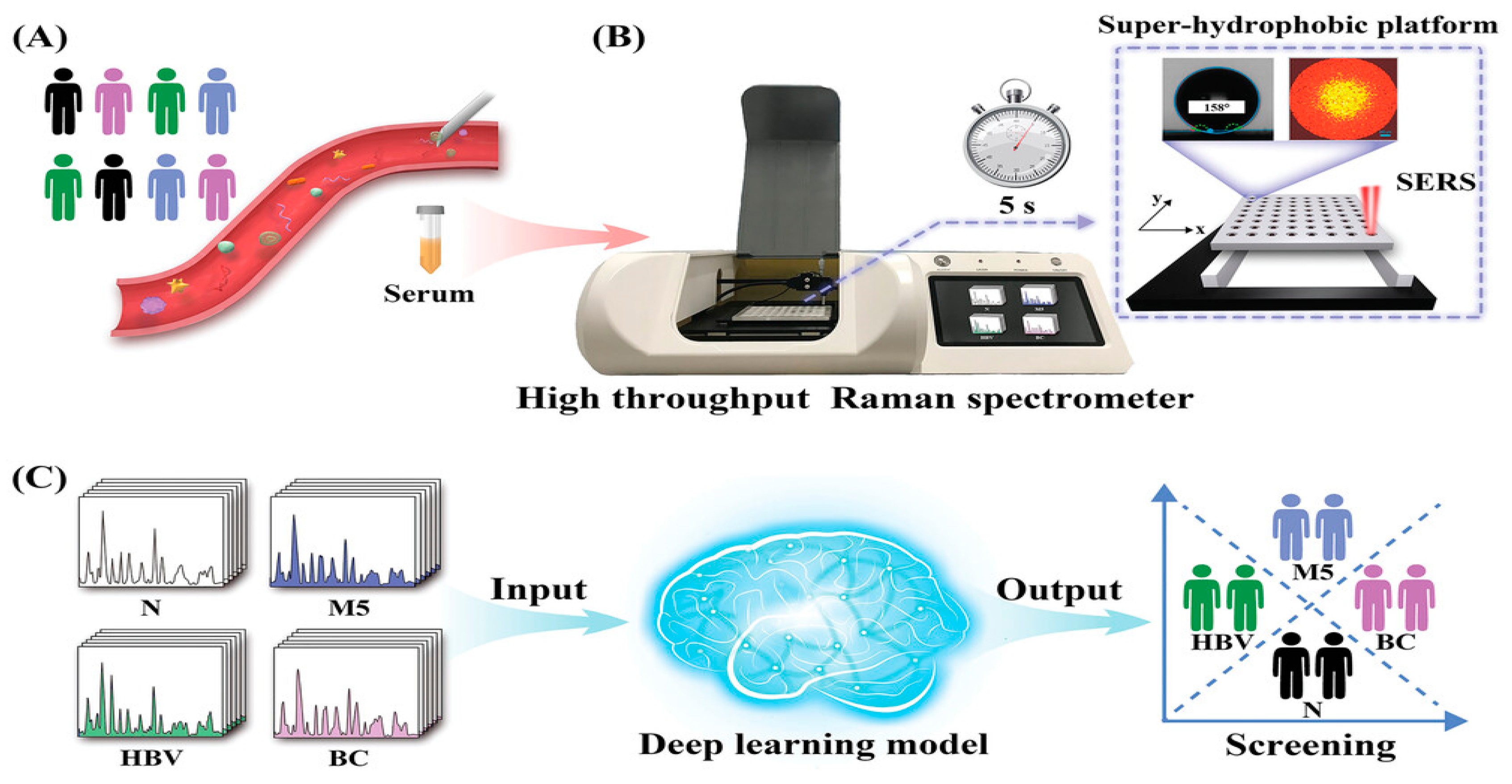 Applsci 15 02606 g006