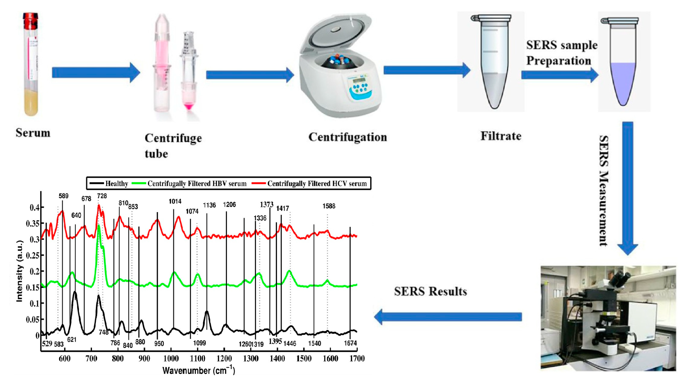 Applsci 15 02606 g008