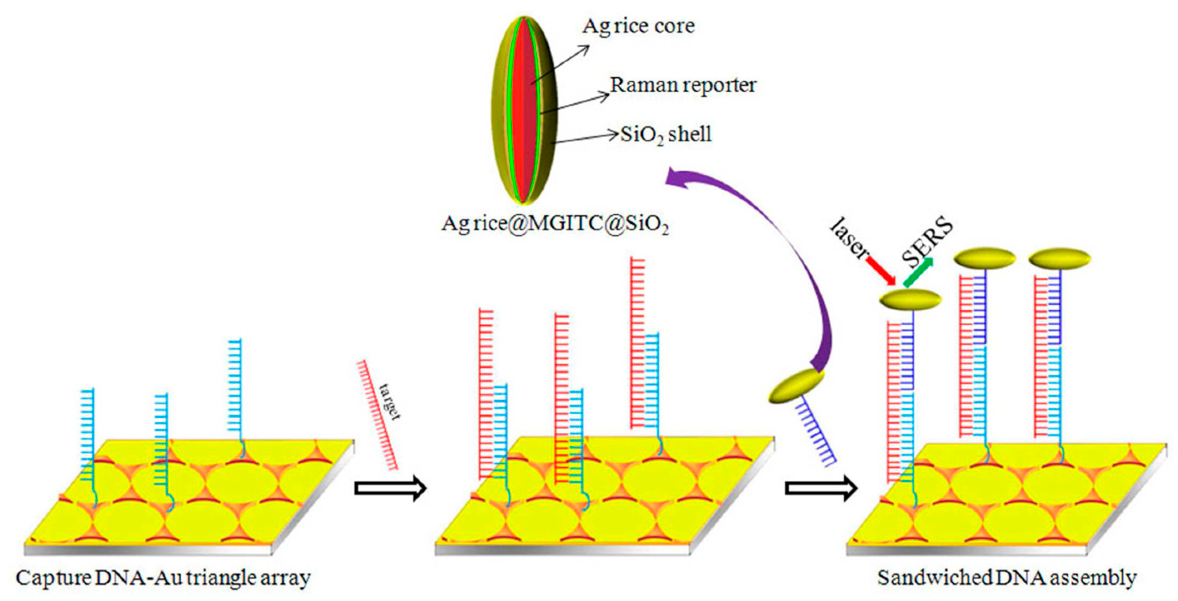 Applsci 15 02606 g010
