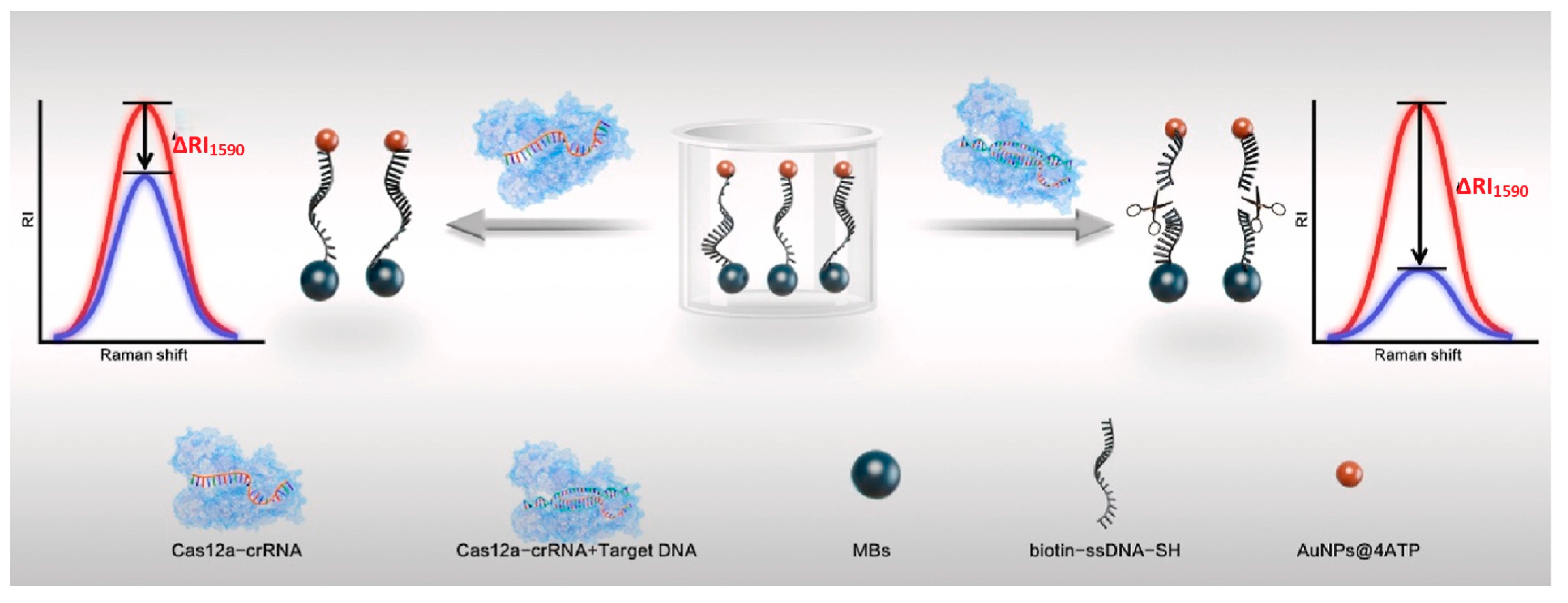 Applsci 15 02606 g012