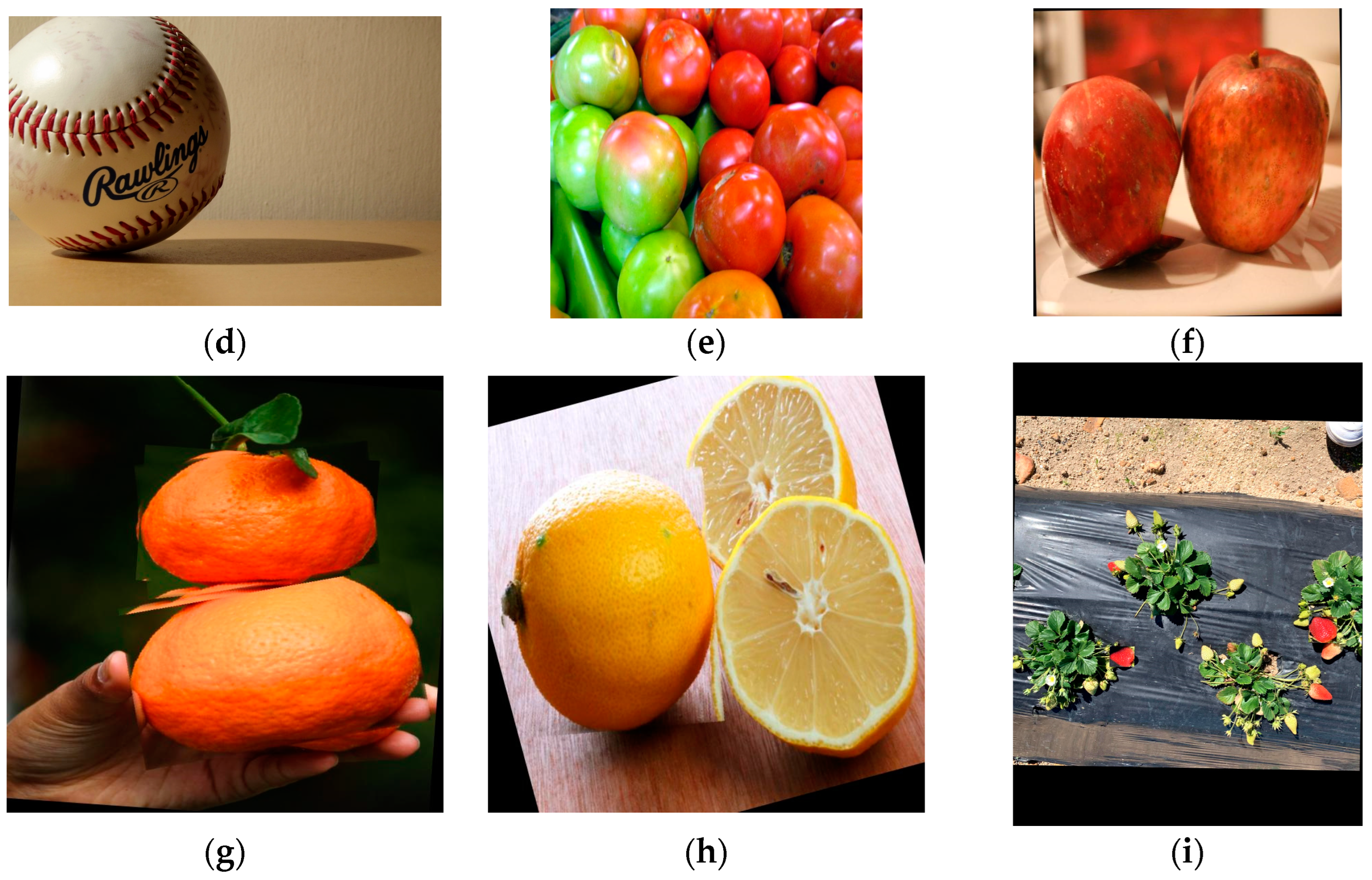 Applsci 15 02615 g0a1b