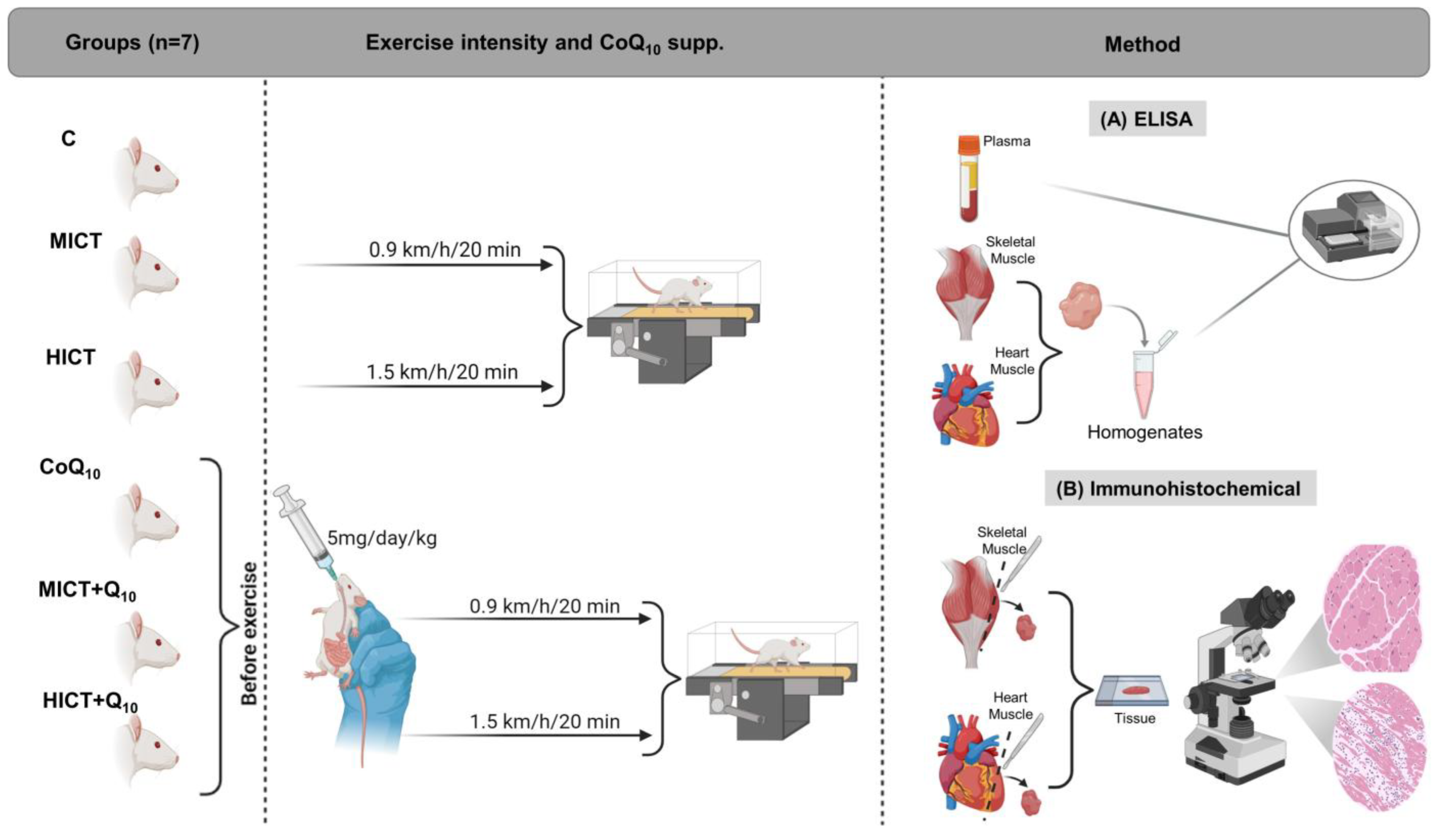 Applsci 15 02618 g001