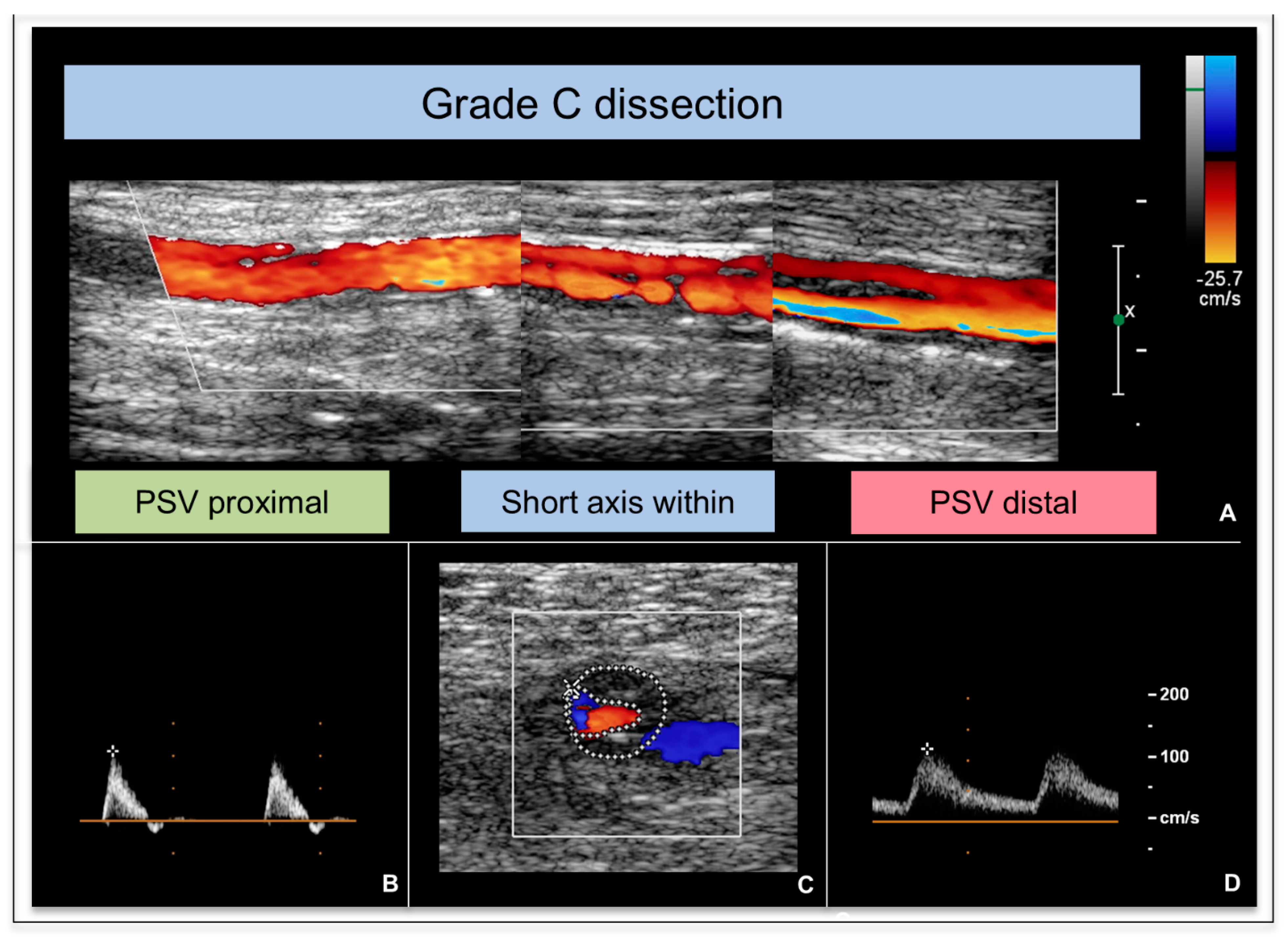 Applsci 15 02619 g003