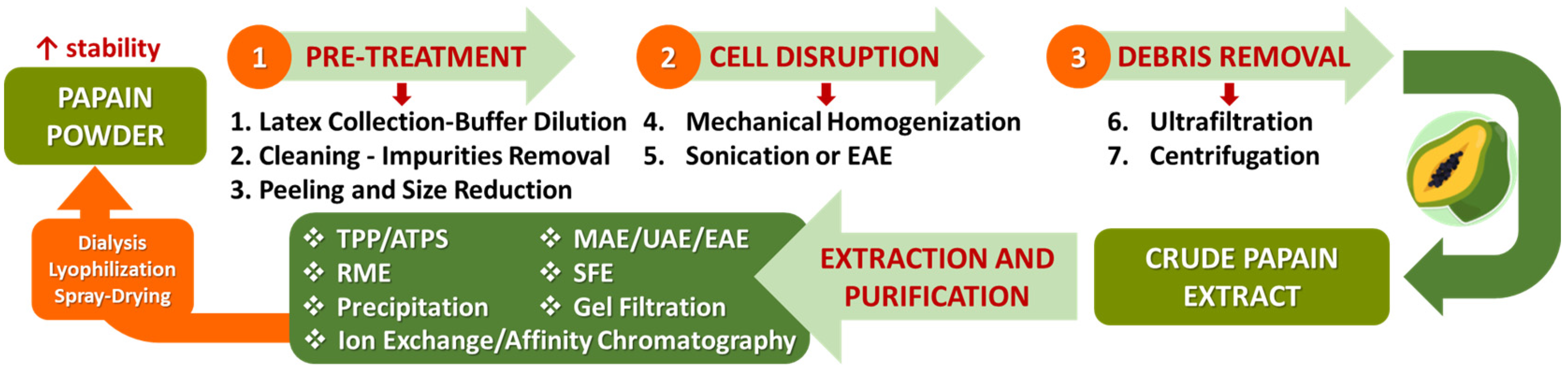 Applsci 15 02637 g005 Applsci 15 02637 g005