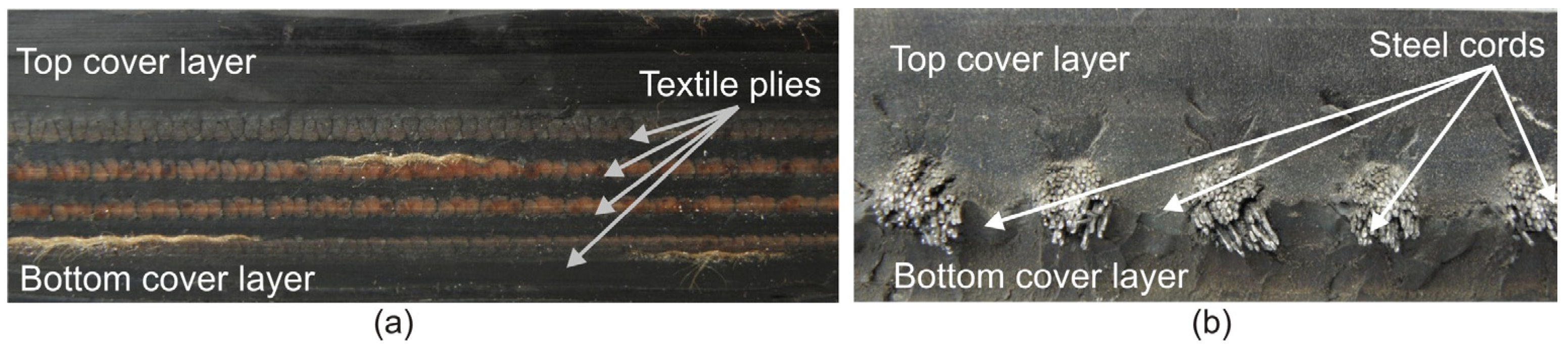 Applsci 15 02639 g003