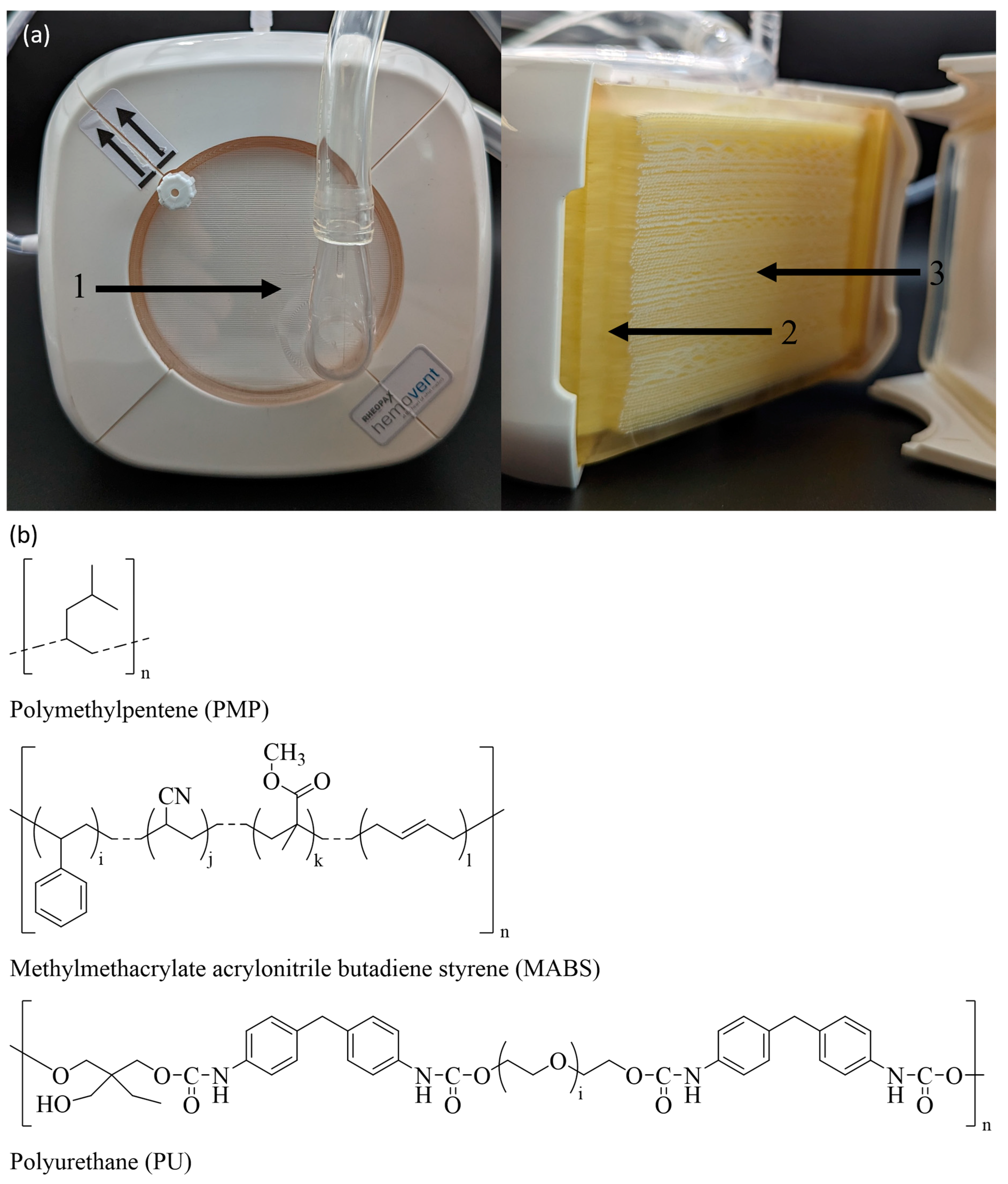 Applsci 15 02646 g001