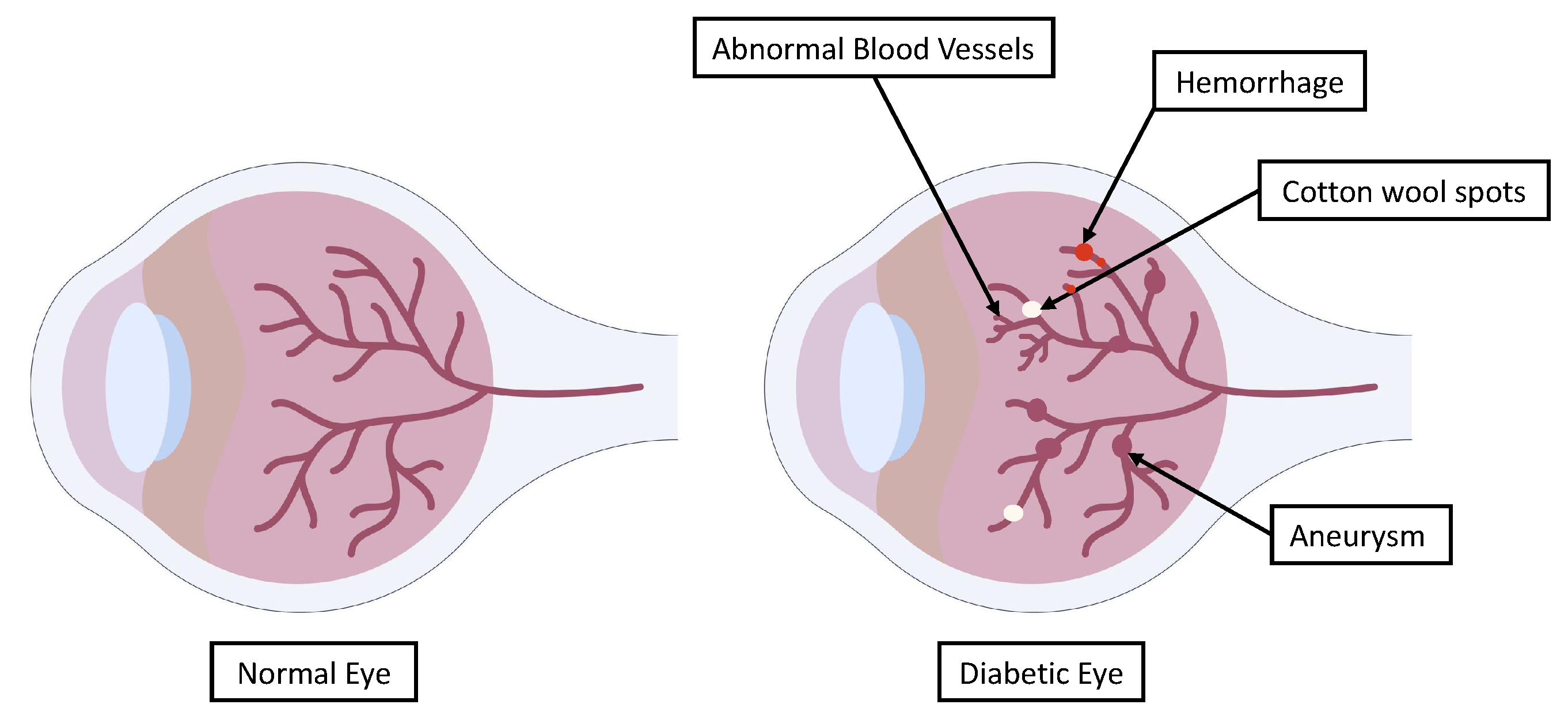 Applsci 15 02684 g002