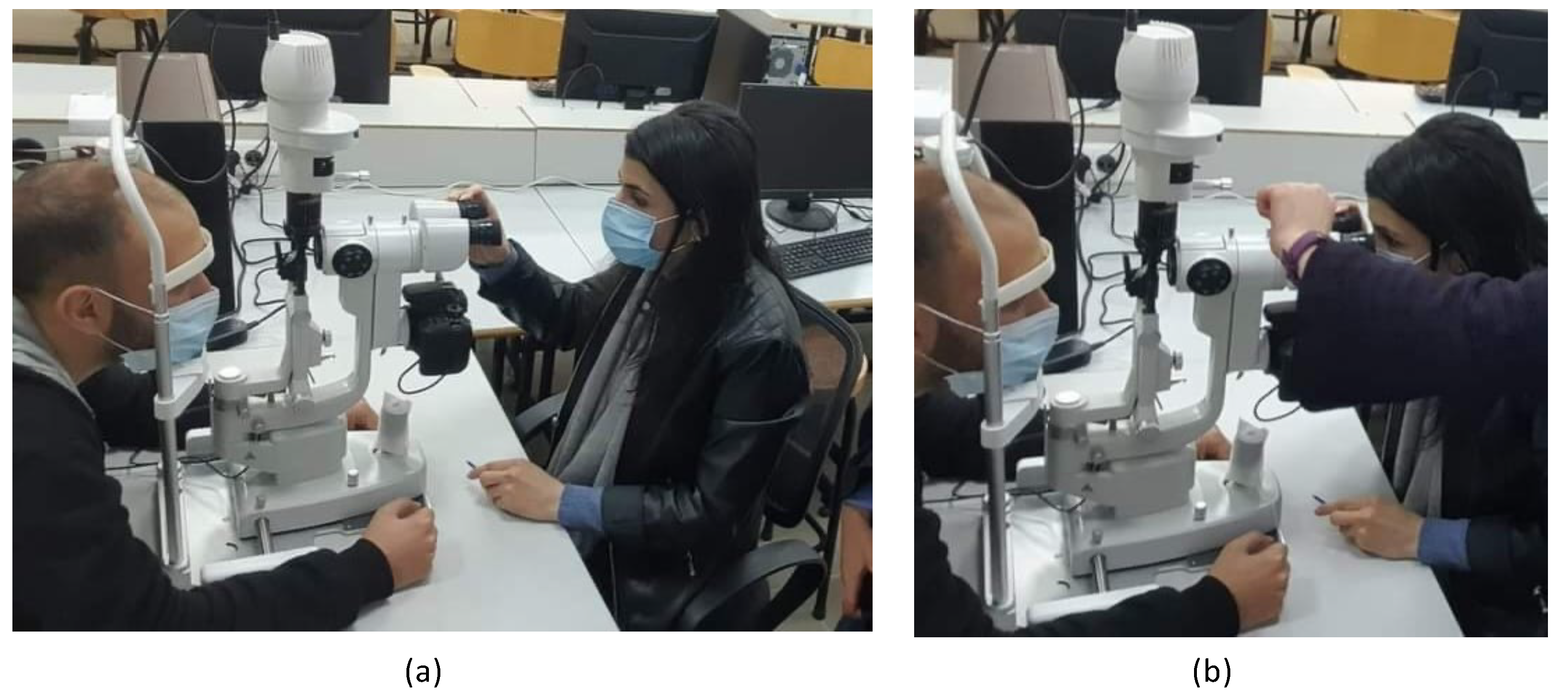 Applsci 15 02684 g004