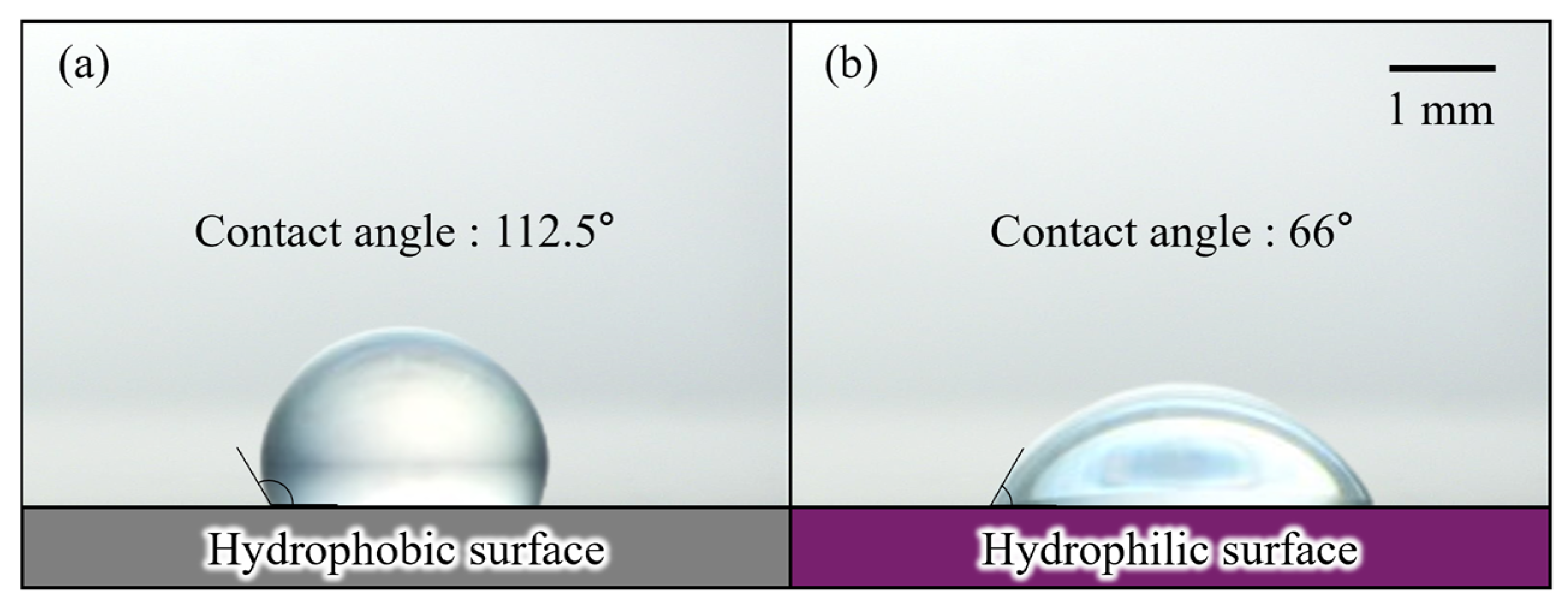 Applsci 15 02690 g003