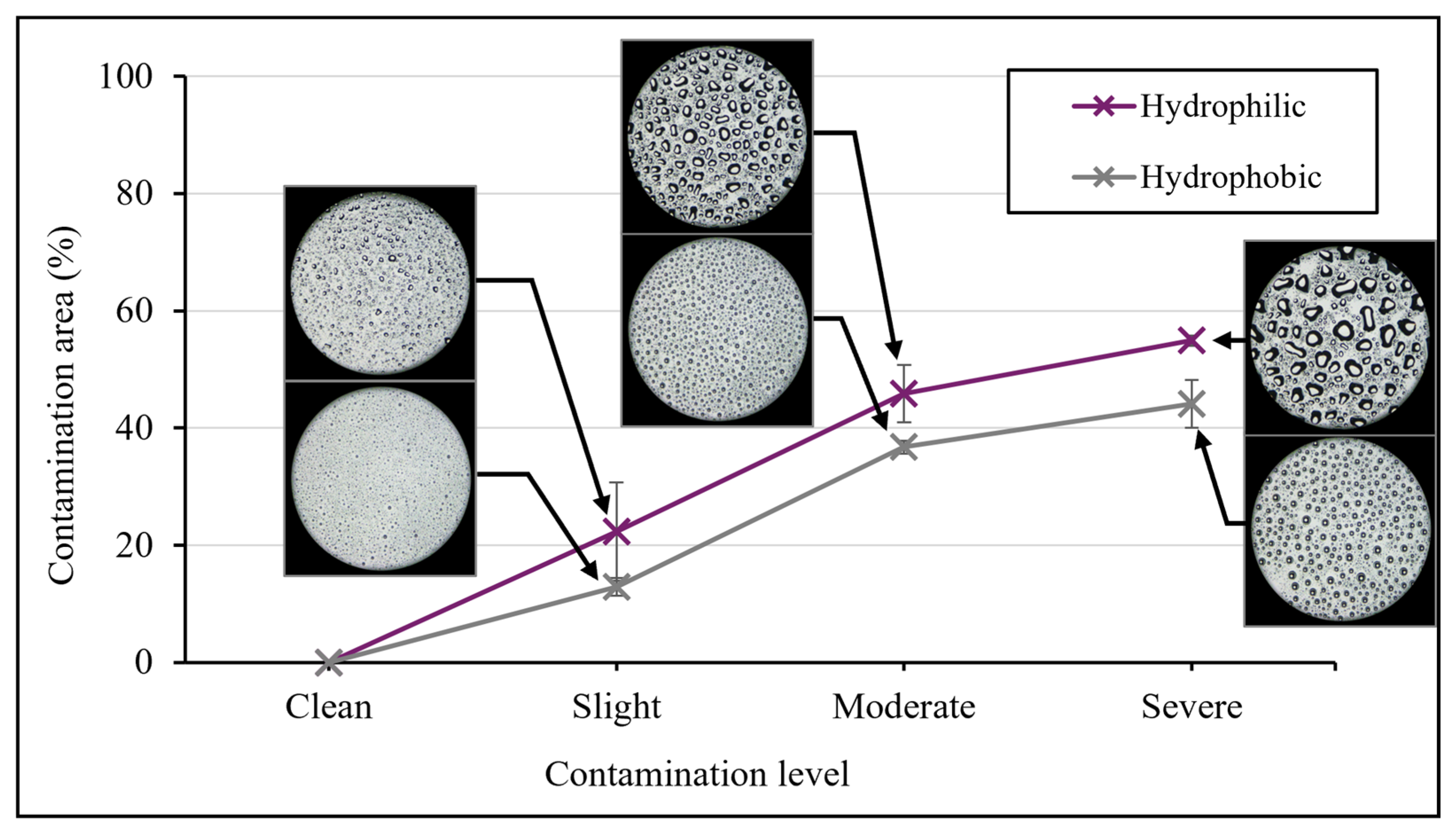 Applsci 15 02690 g007