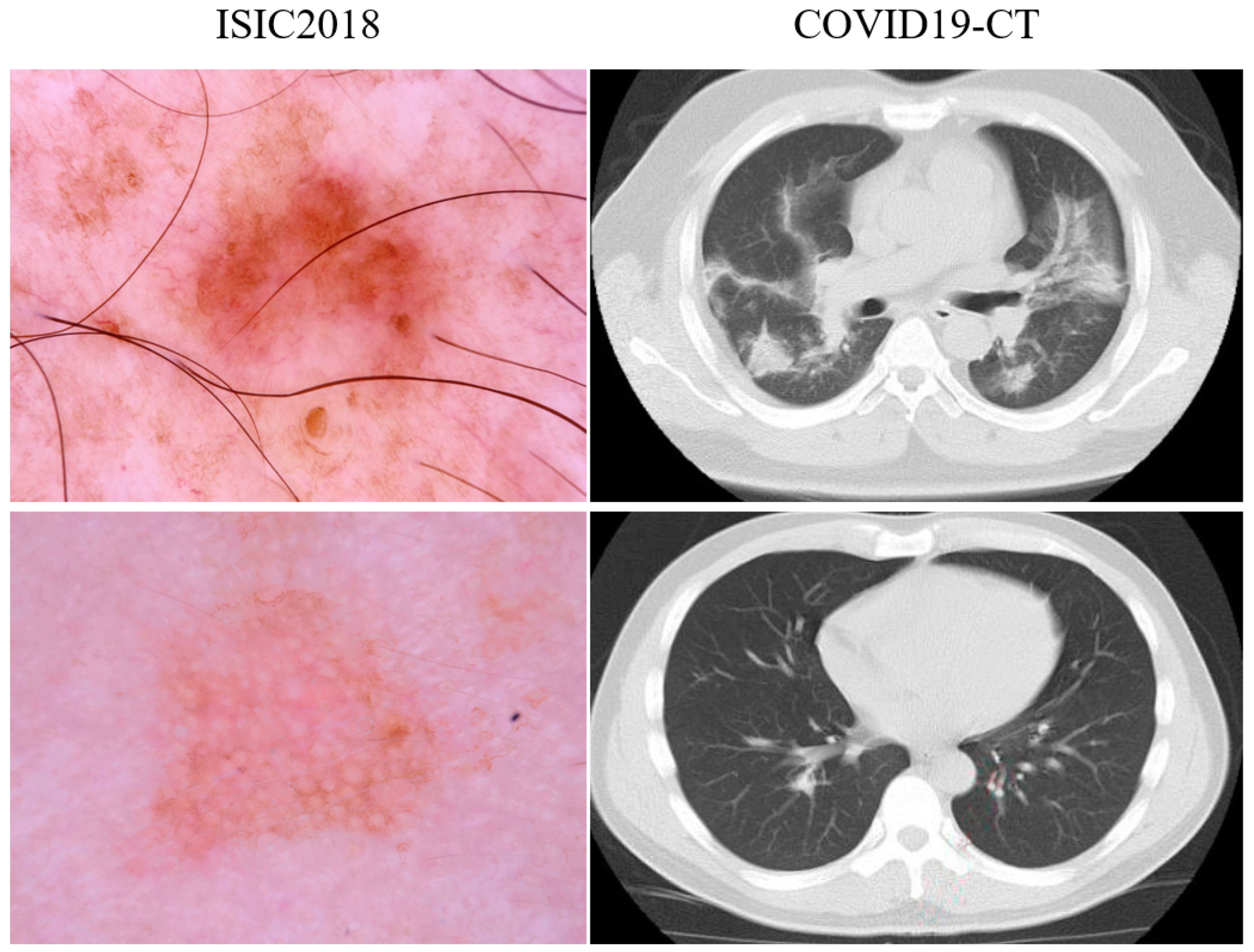 Applsci 15 02693 g007