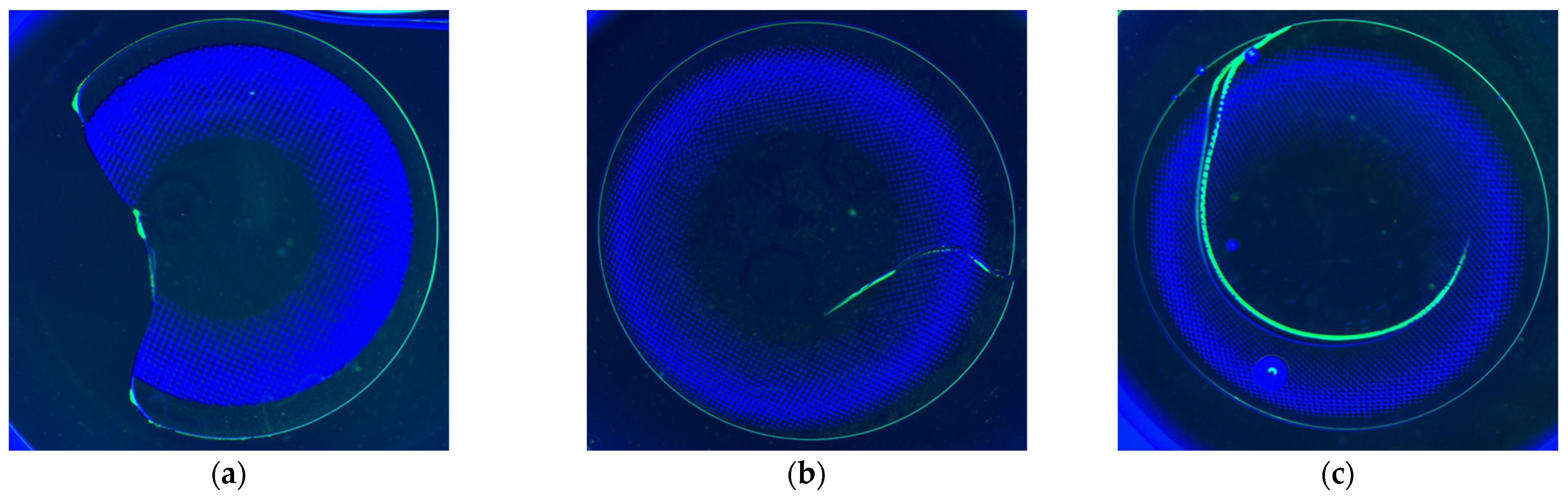 Applsci 15 02697 g007