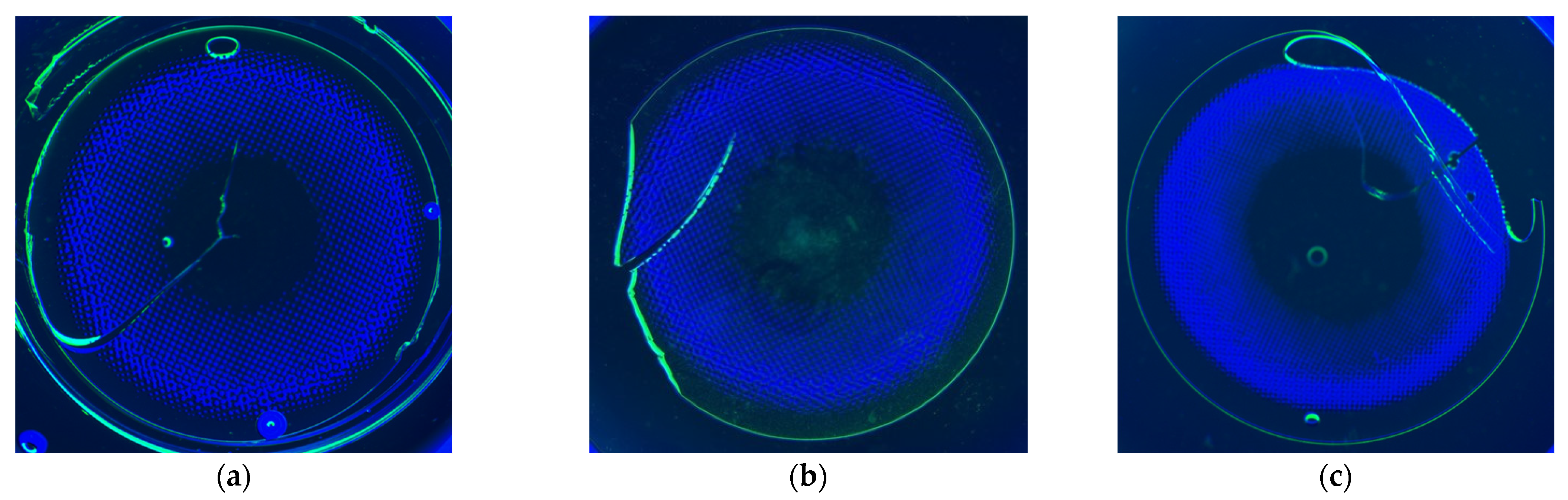 Applsci 15 02697 g009