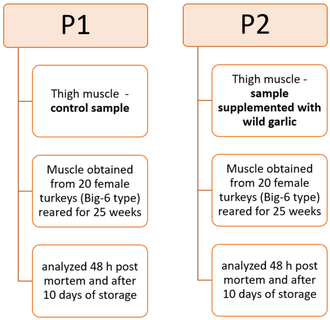 Applsci 15 02715 g001