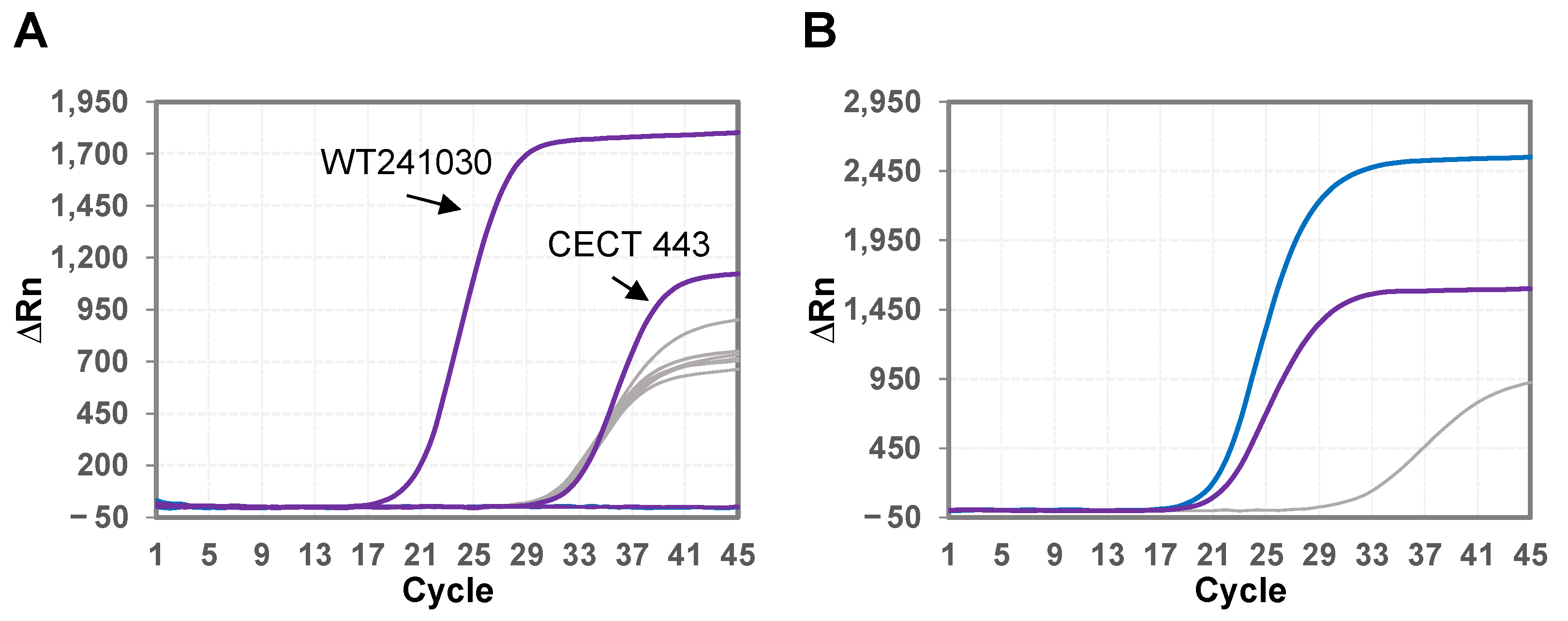 Applsci 15 02737 g001