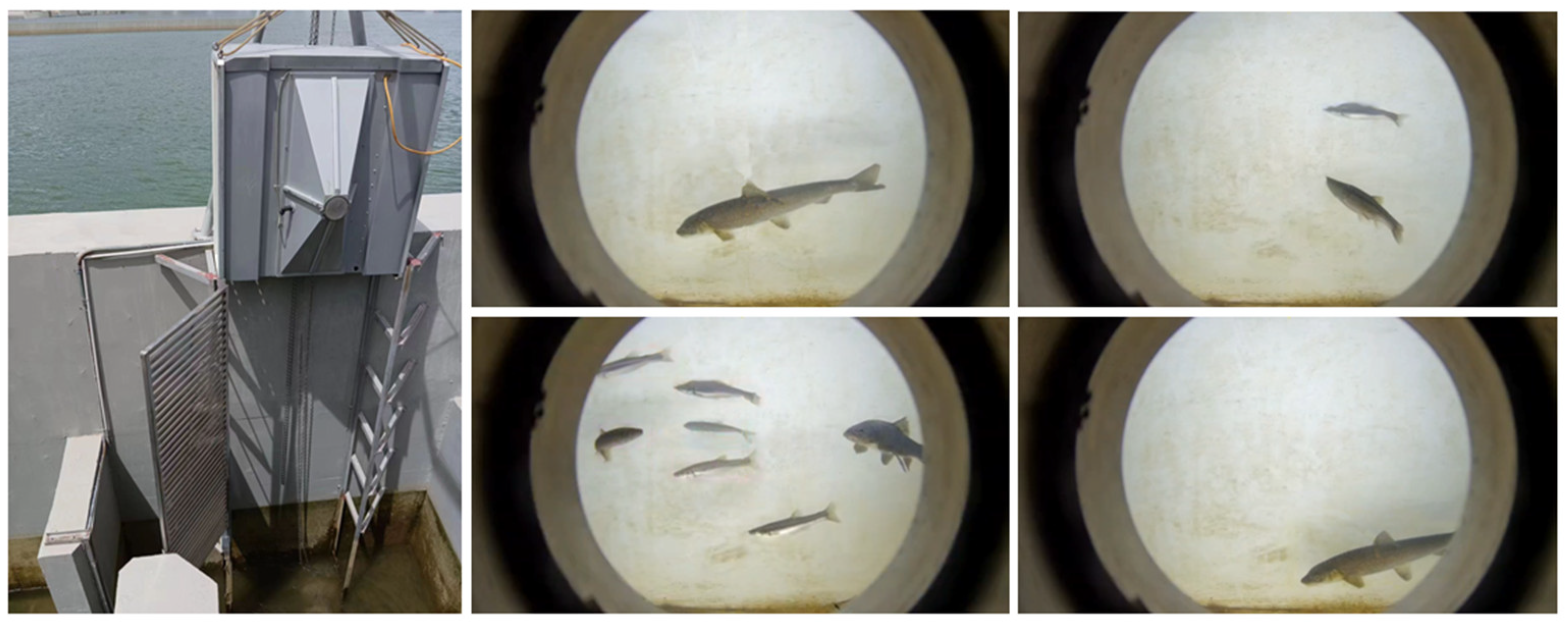 Applsci 15 02743 g009