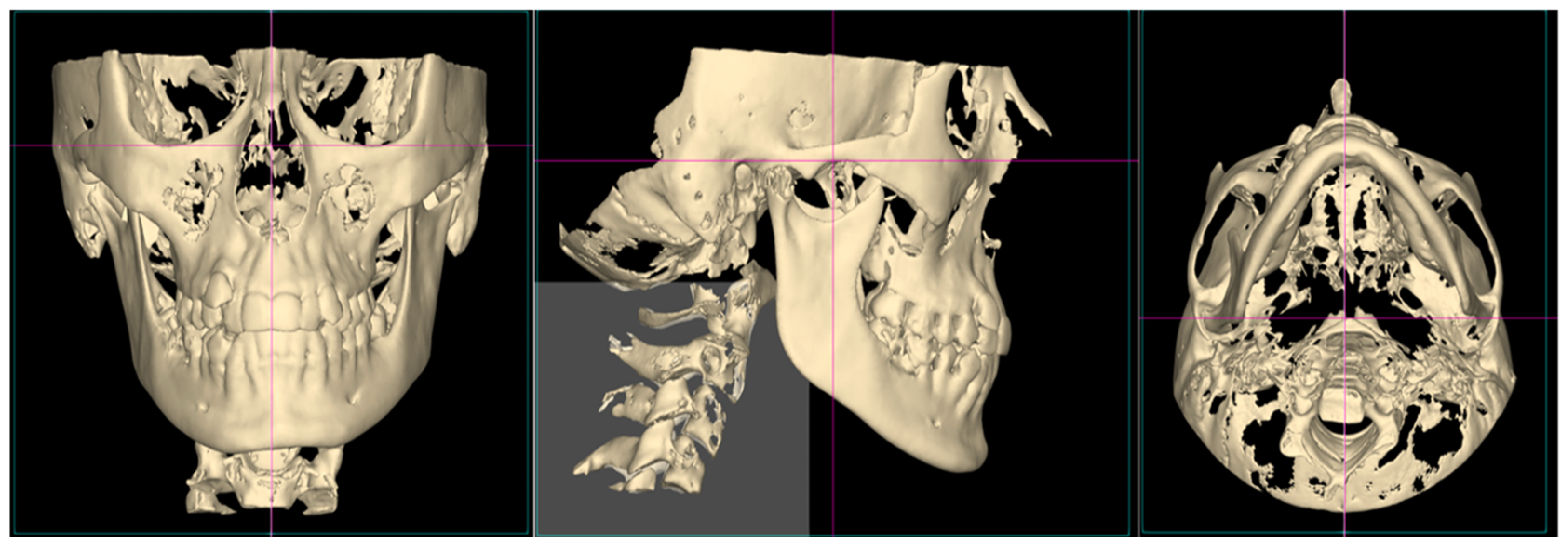 Applsci 15 02794 g001