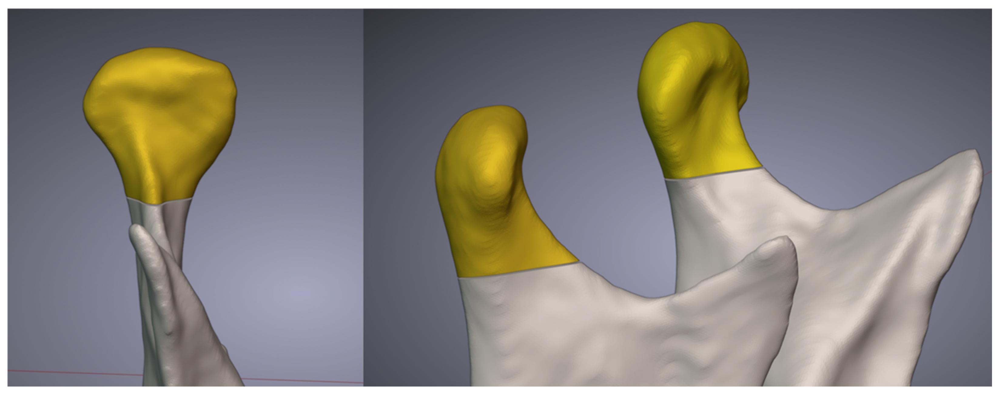 Applsci 15 02794 g005