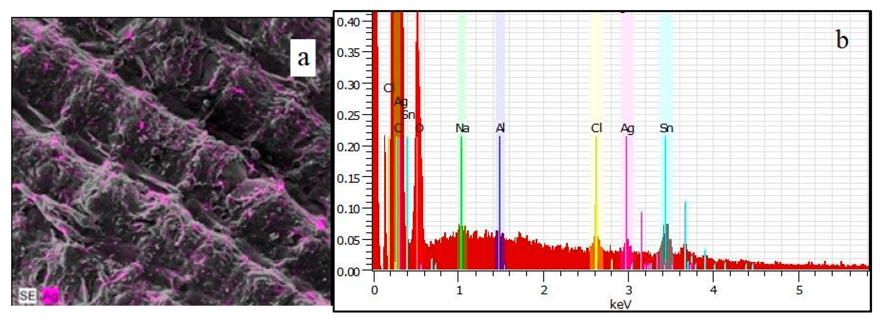 Applsci 15 02796 g011
