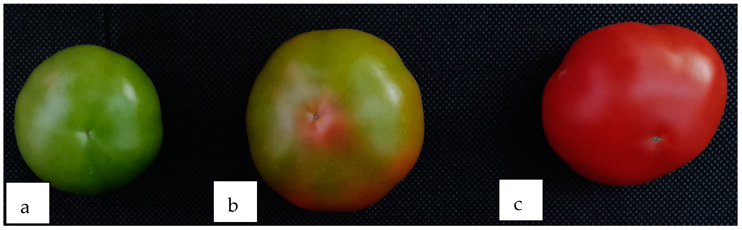 Applsci 15 02805 g001