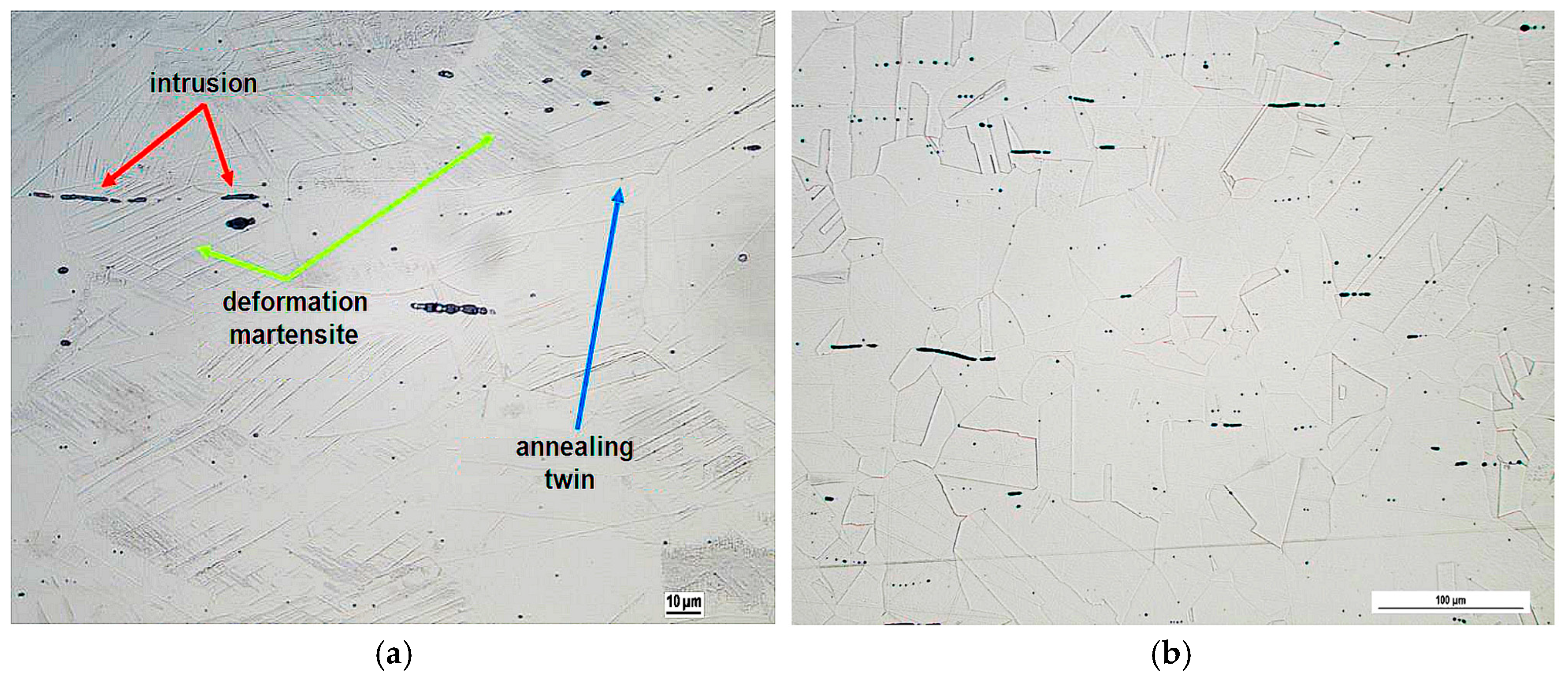 Applsci 15 02810 g007