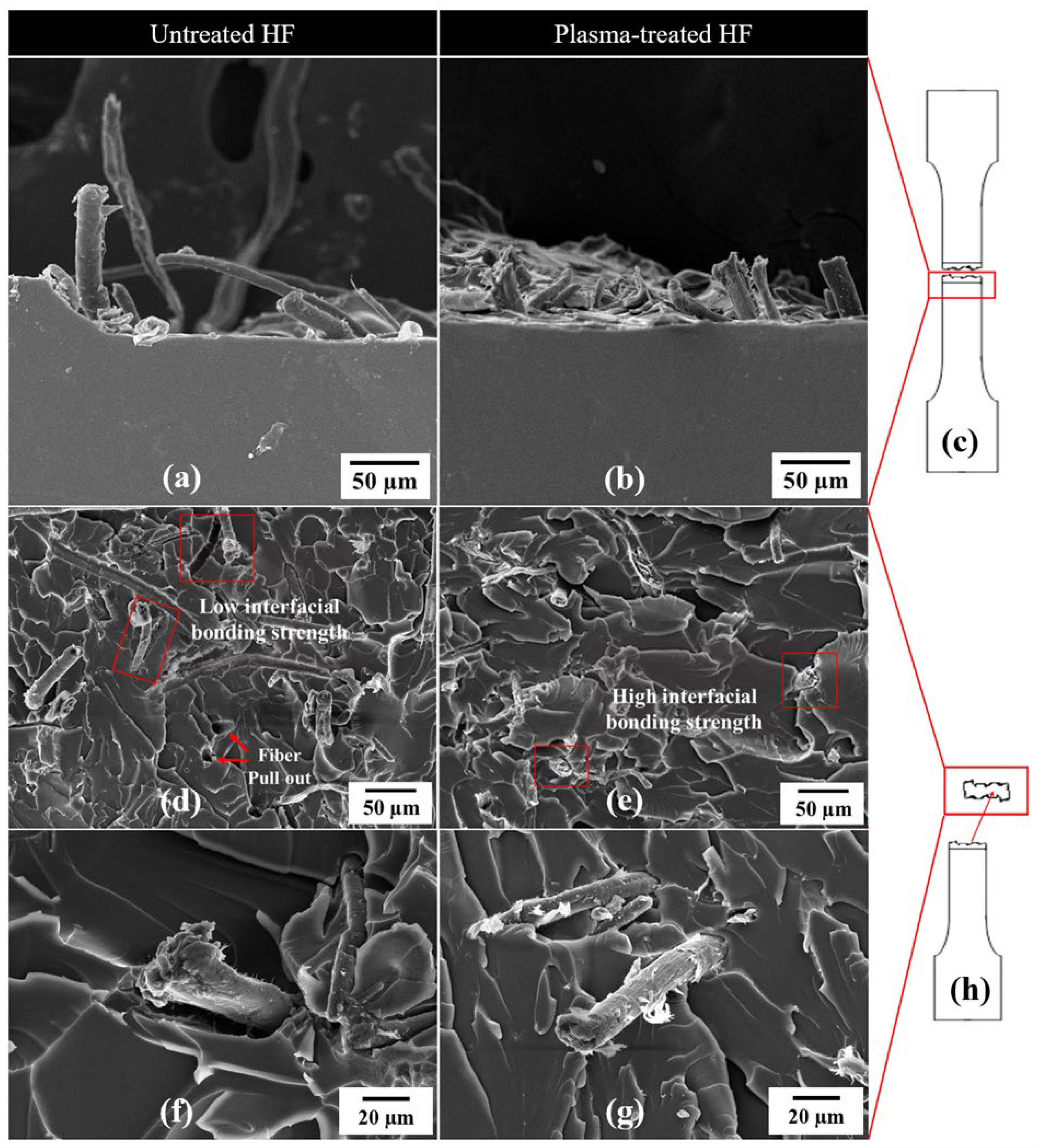 Applsci 15 02818 g007