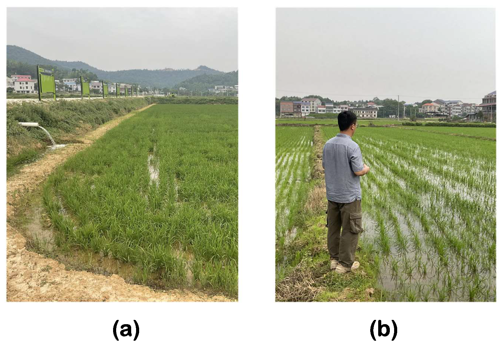 Applsci 15 02823 g001