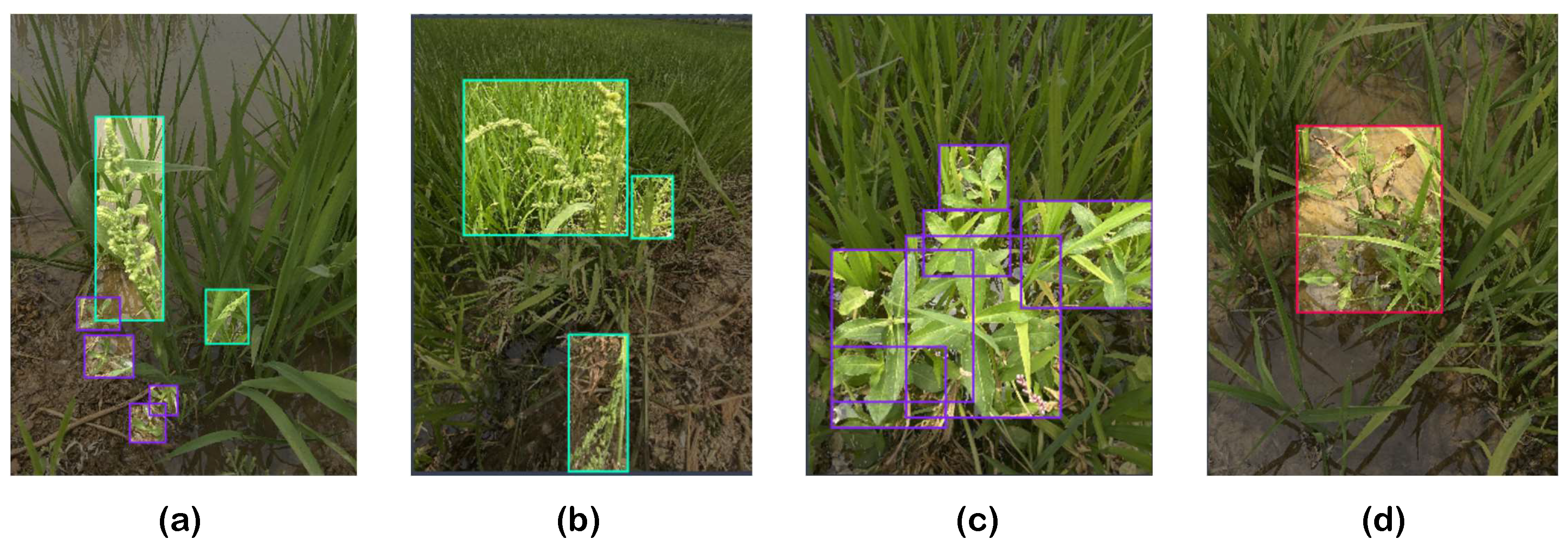 Applsci 15 02823 g003