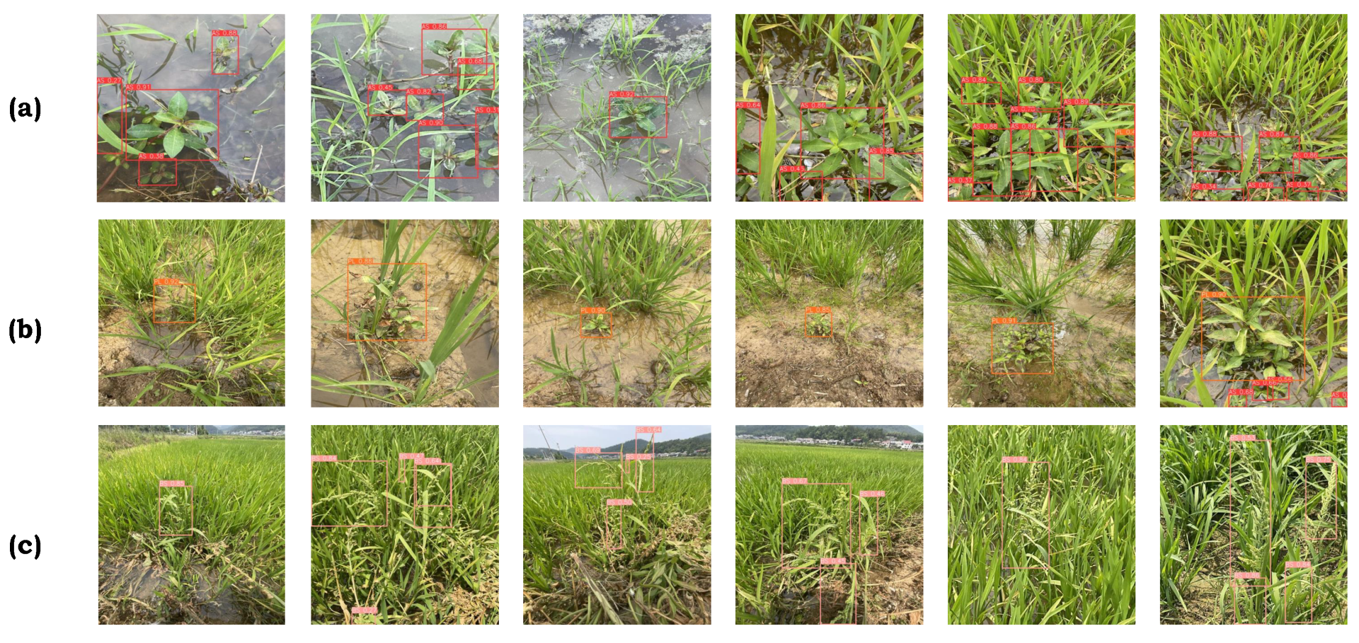 Applsci 15 02823 g009