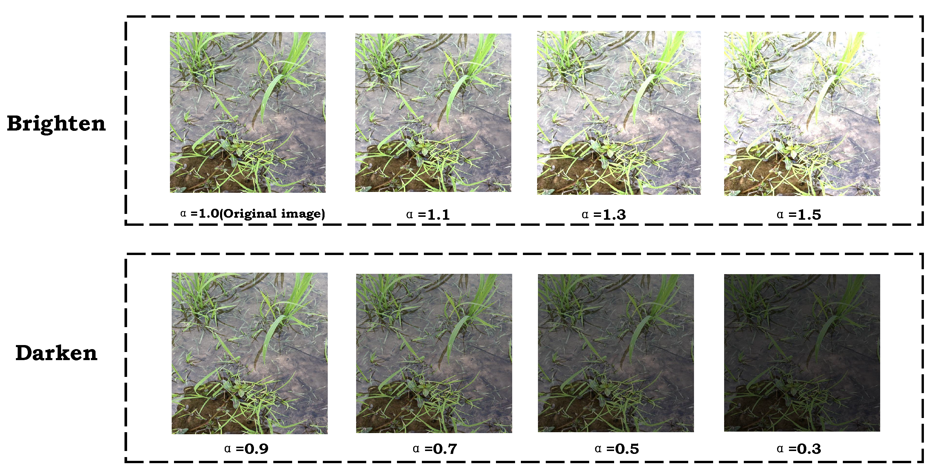 Applsci 15 02823 g010