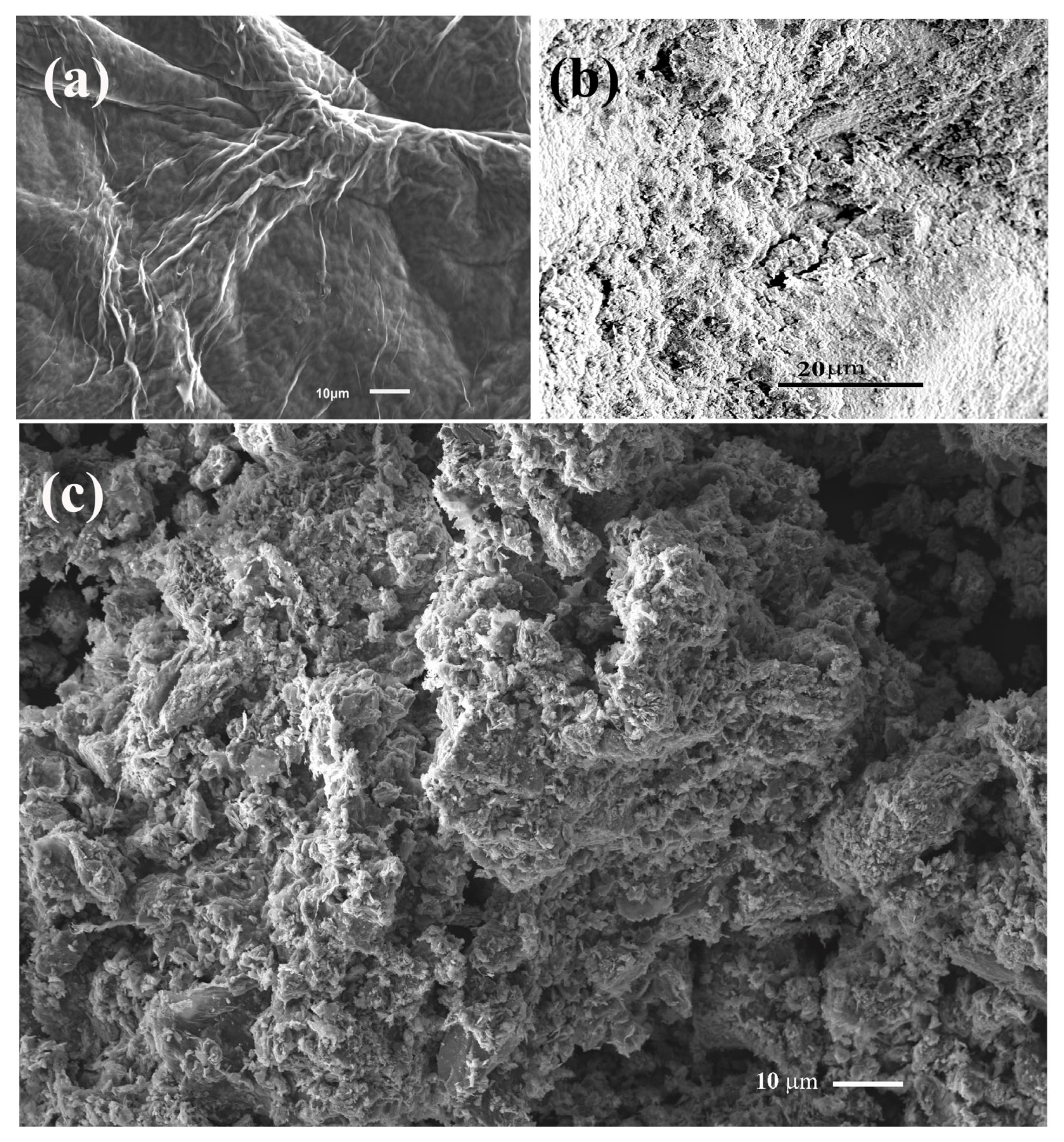 Applsci 15 02824 g003