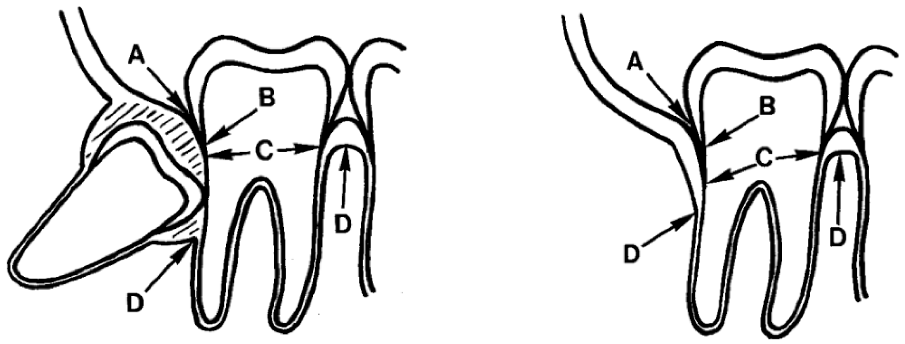 Applsci 15 02834 g004