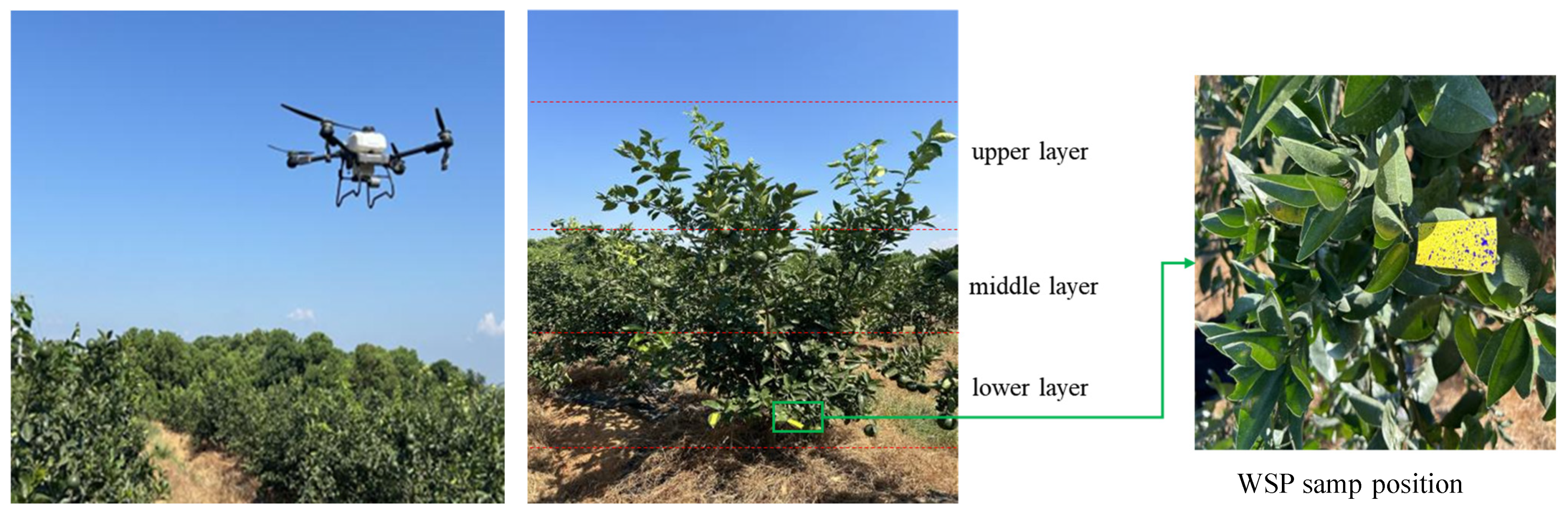 Applsci 15 02847 g002