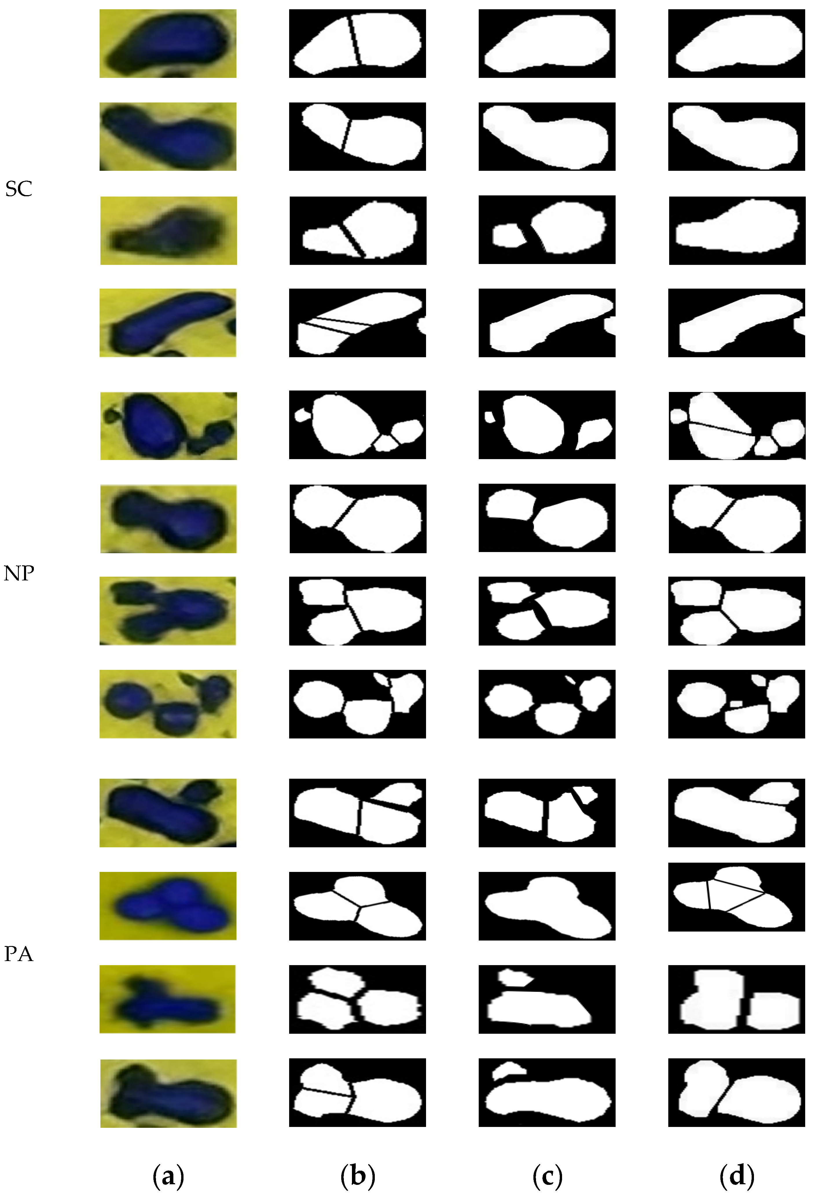 Applsci 15 02847 g013