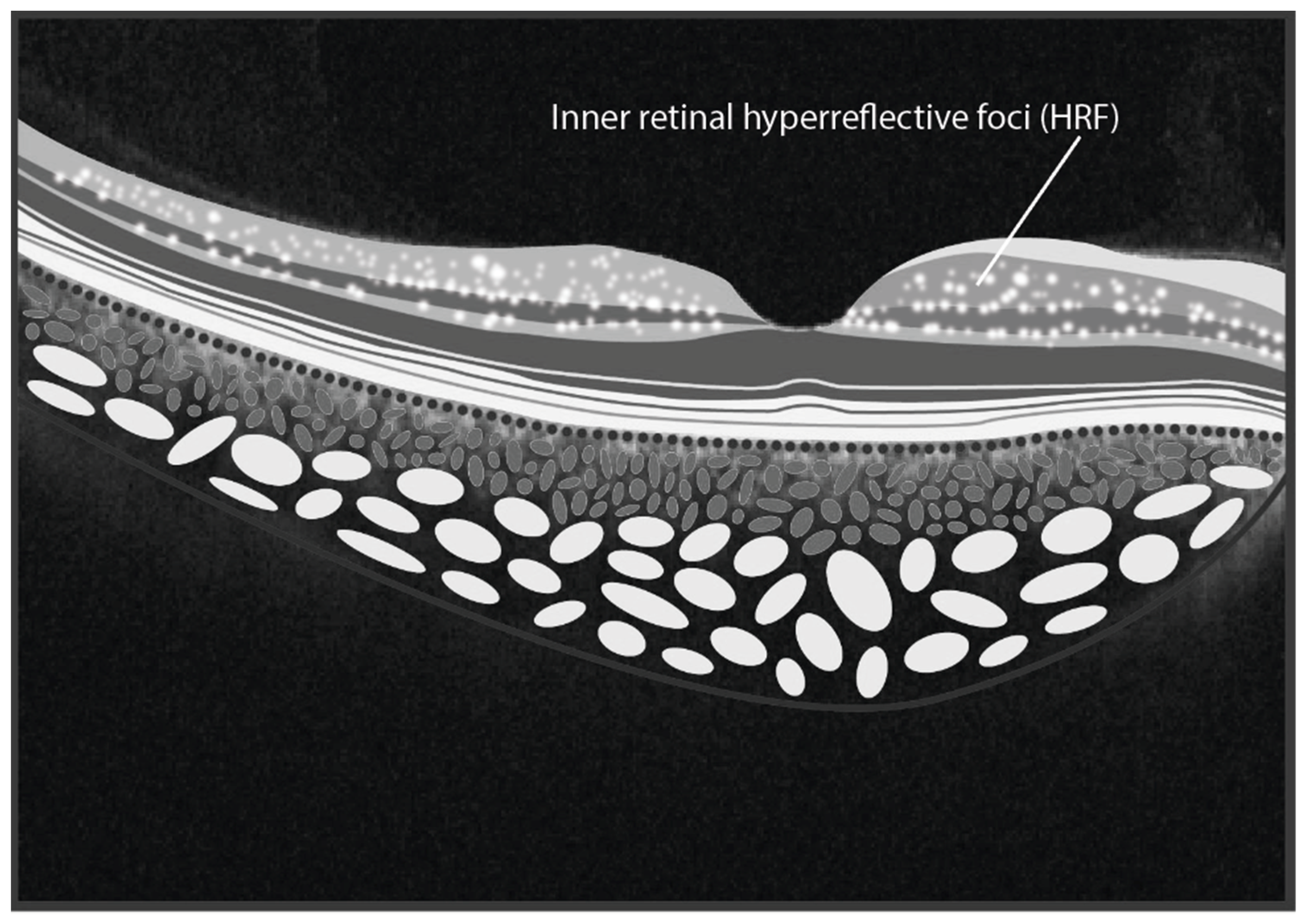 Applsci 15 02863 g004