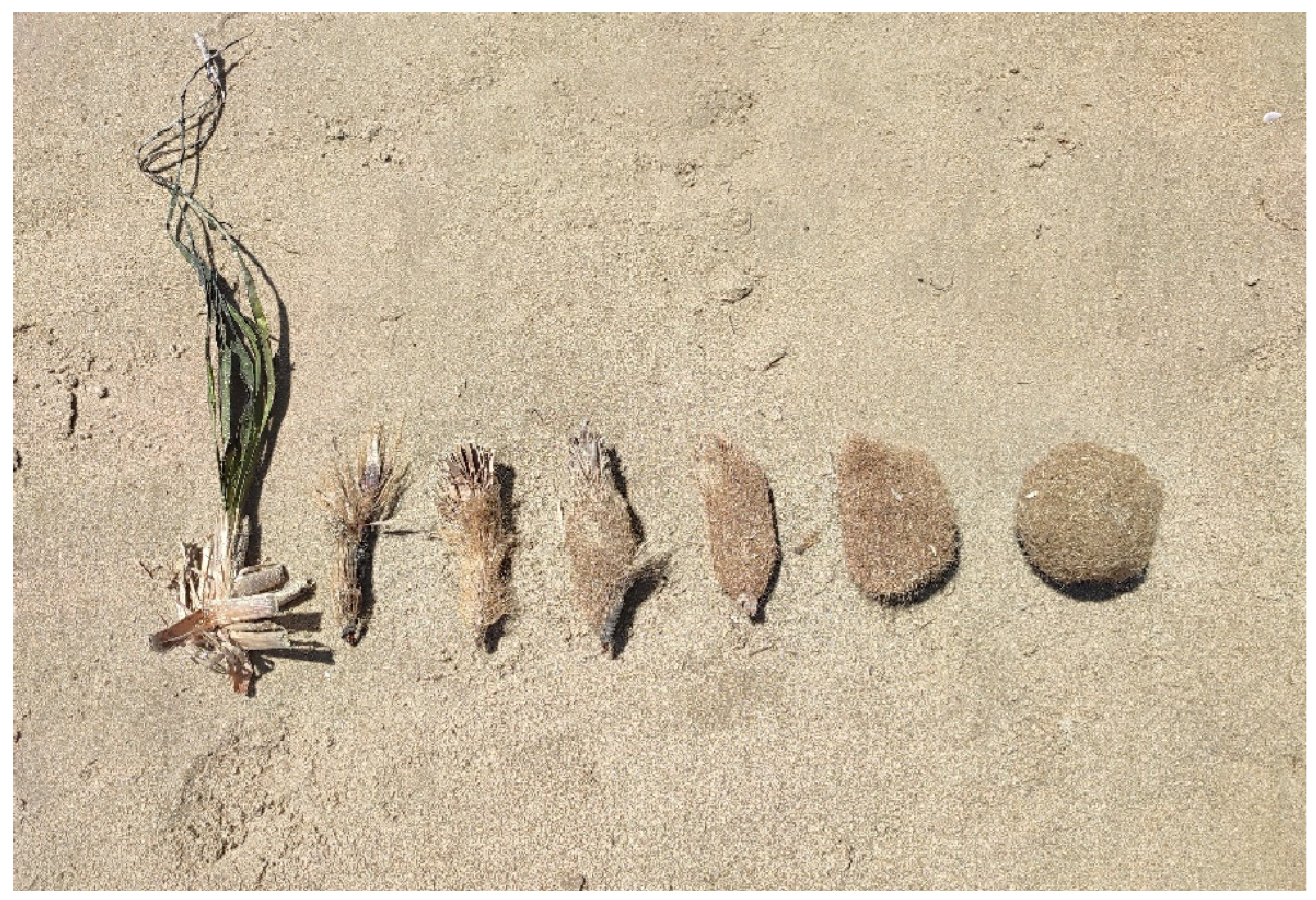 Applsci 15 02880 g001