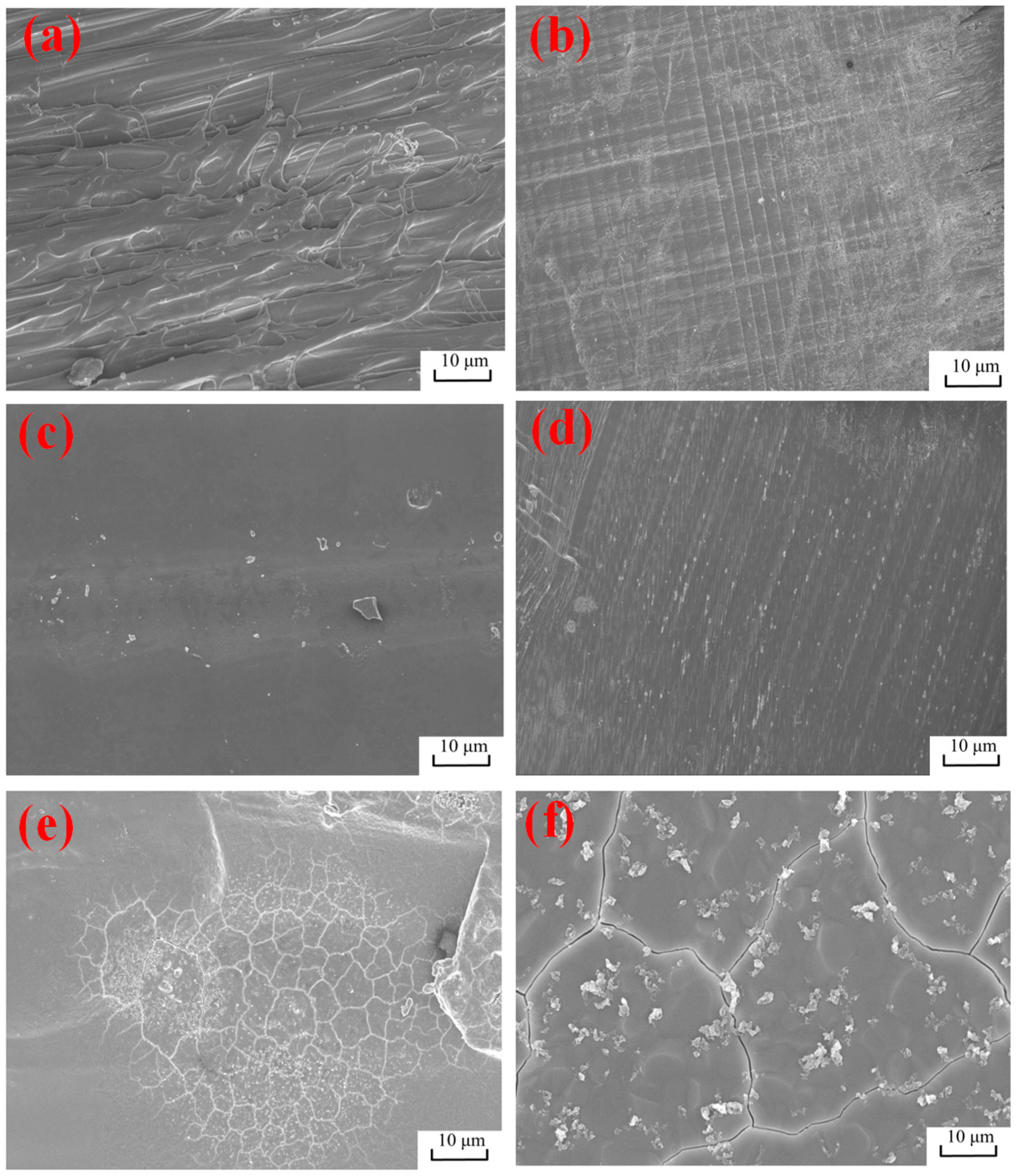 Applsci 15 02921 g008